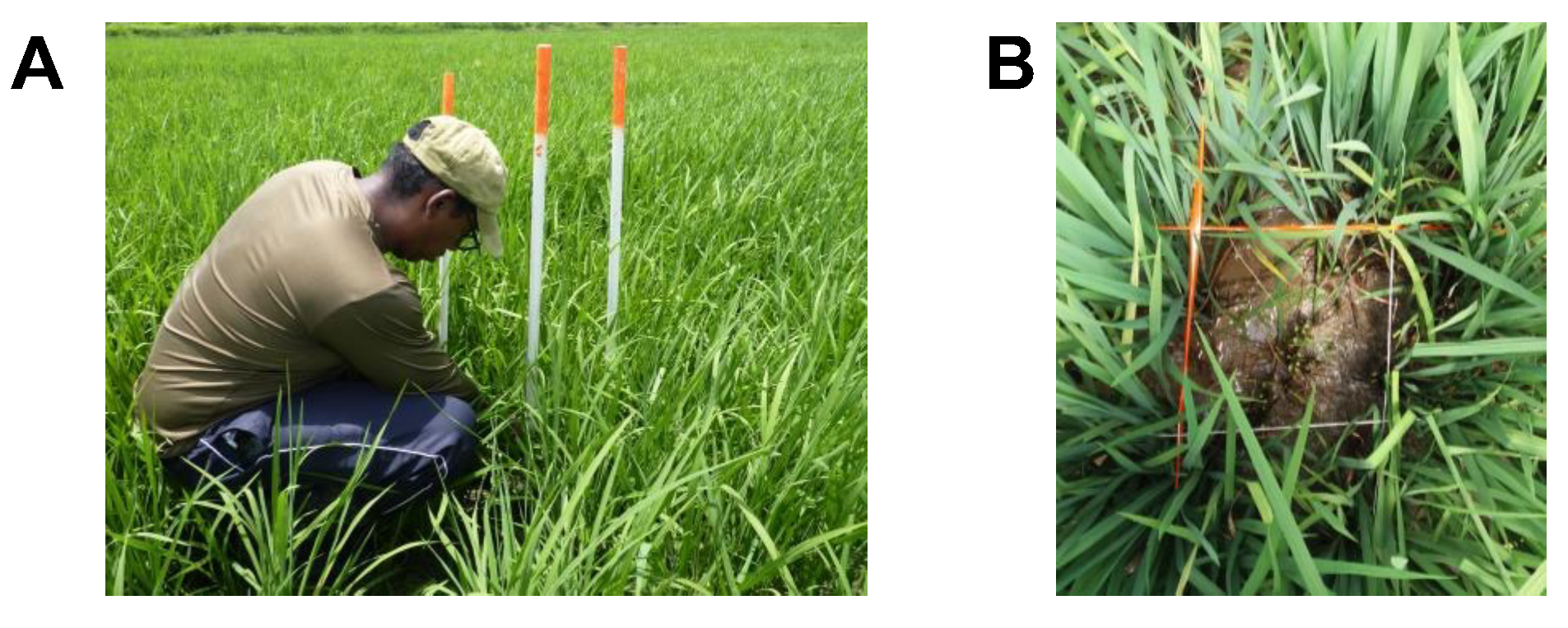 Agriengineering 05 00060 g004 Agriengineering 05 00060 g004