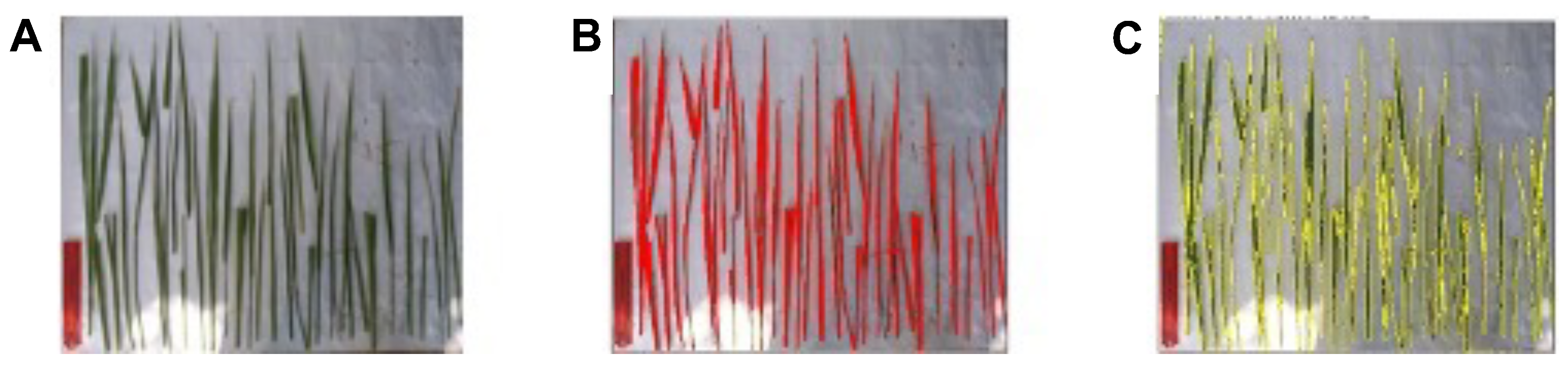 Agriengineering 05 00060 g005 Agriengineering 05 00060 g005