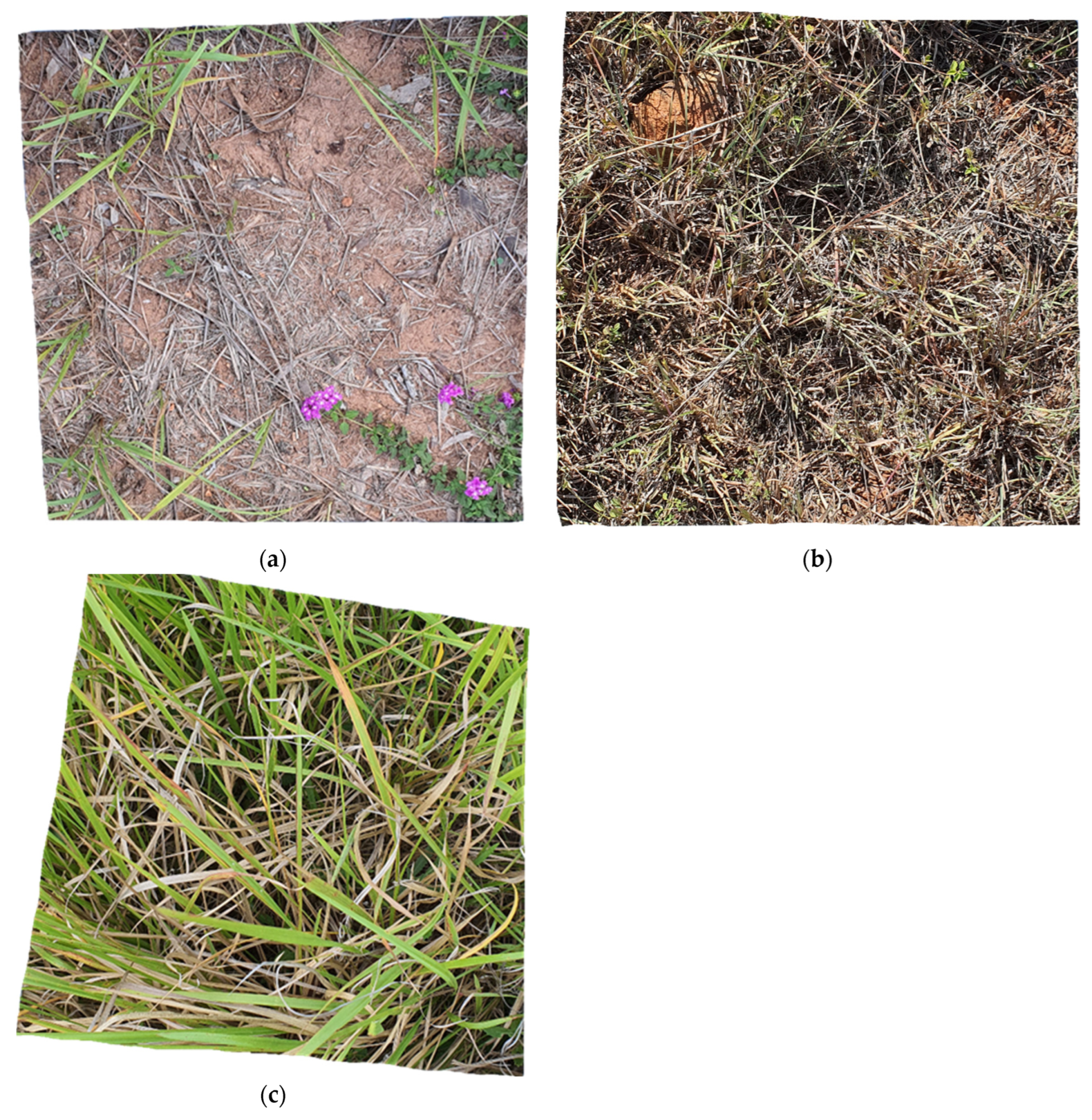 Agriengineering 05 00066 g006