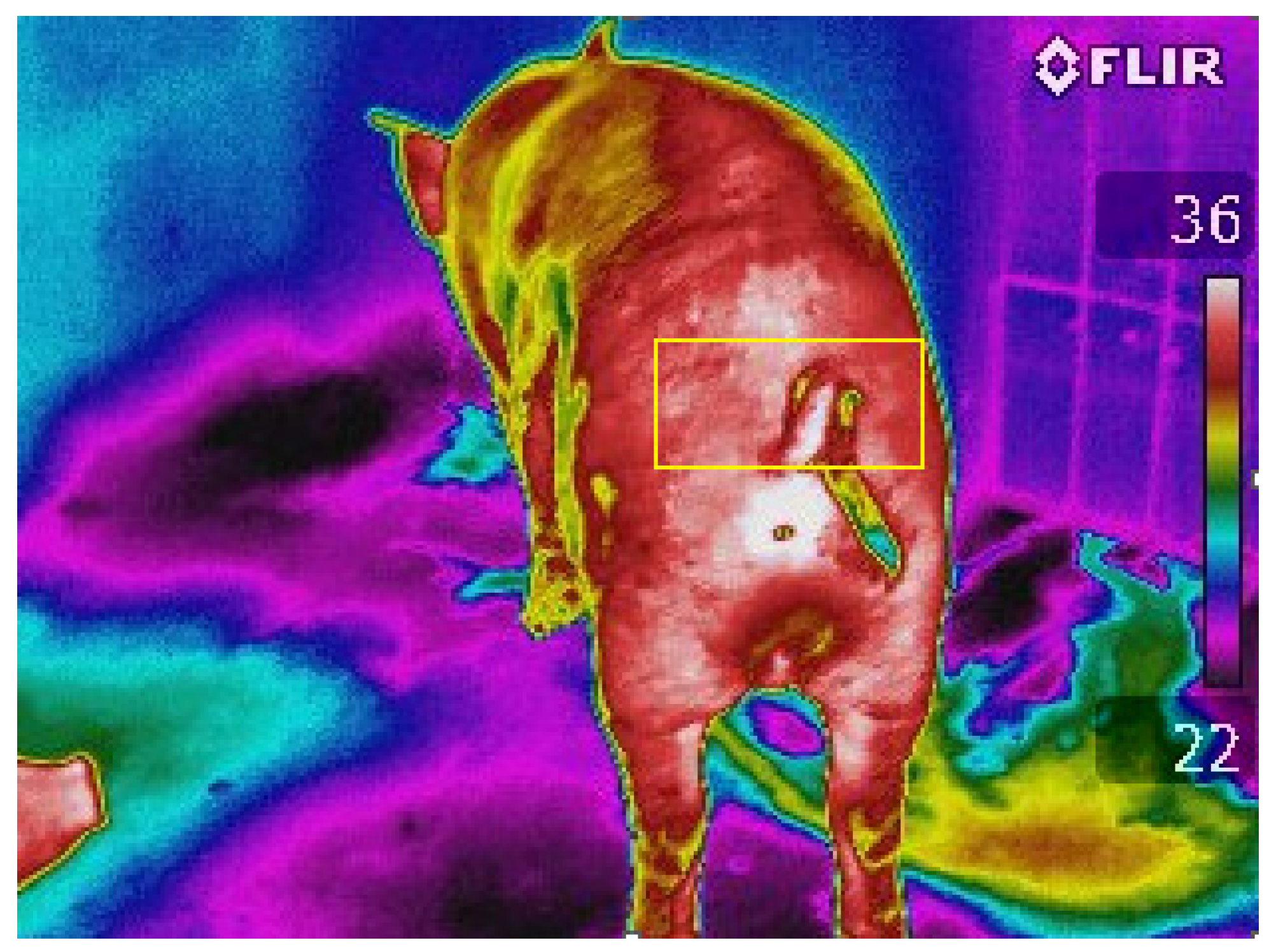 Agriengineering 05 00069 g004