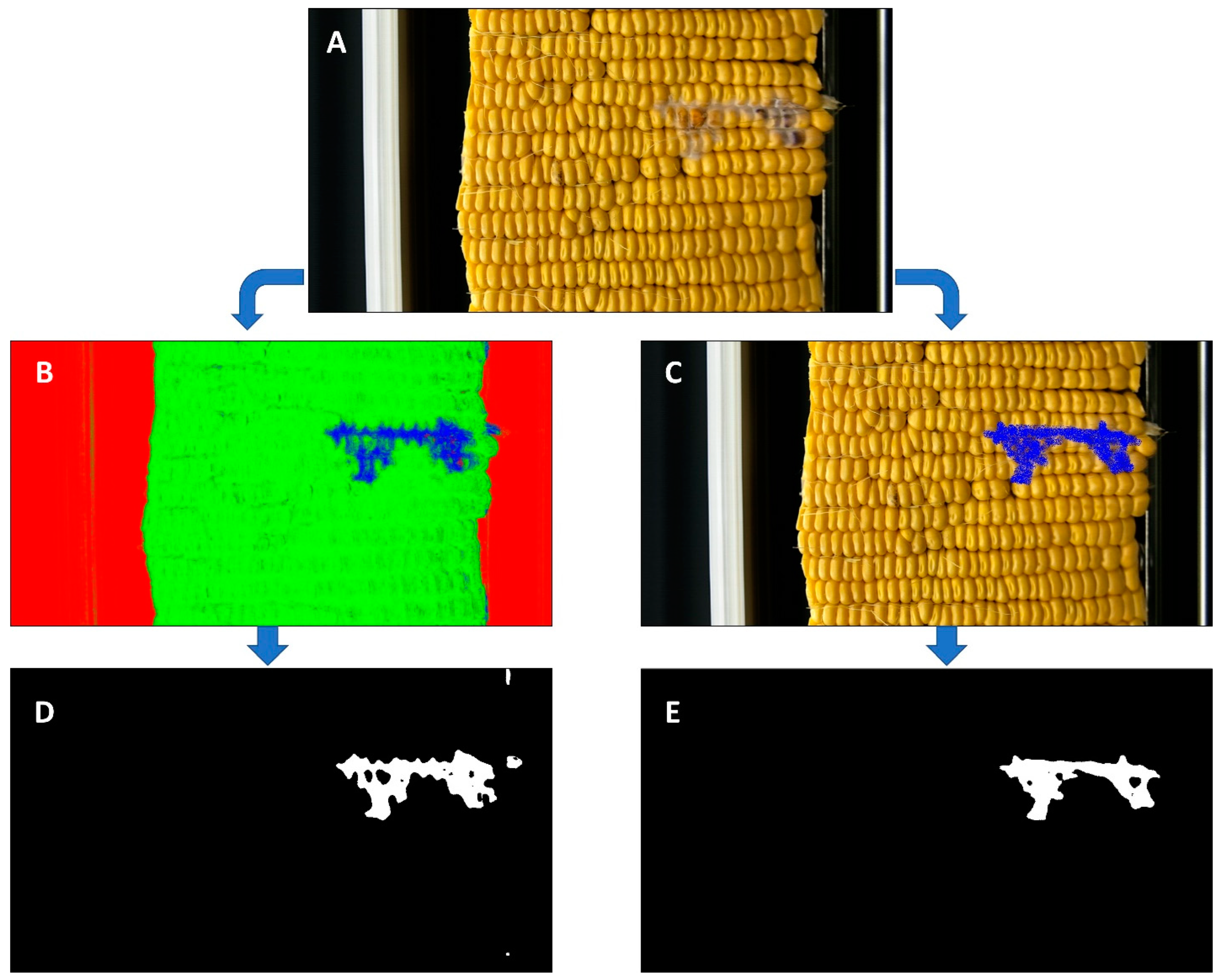 Agriengineering 05 00077 g002