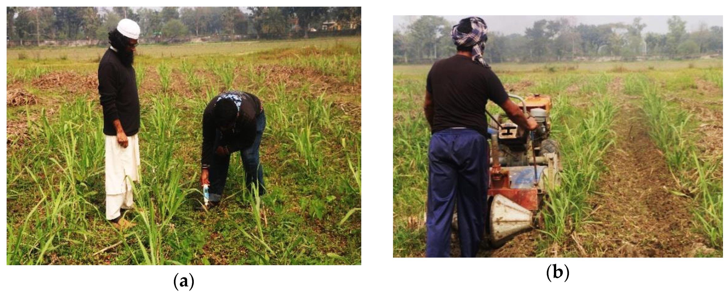 Agriengineering 05 00084 g007