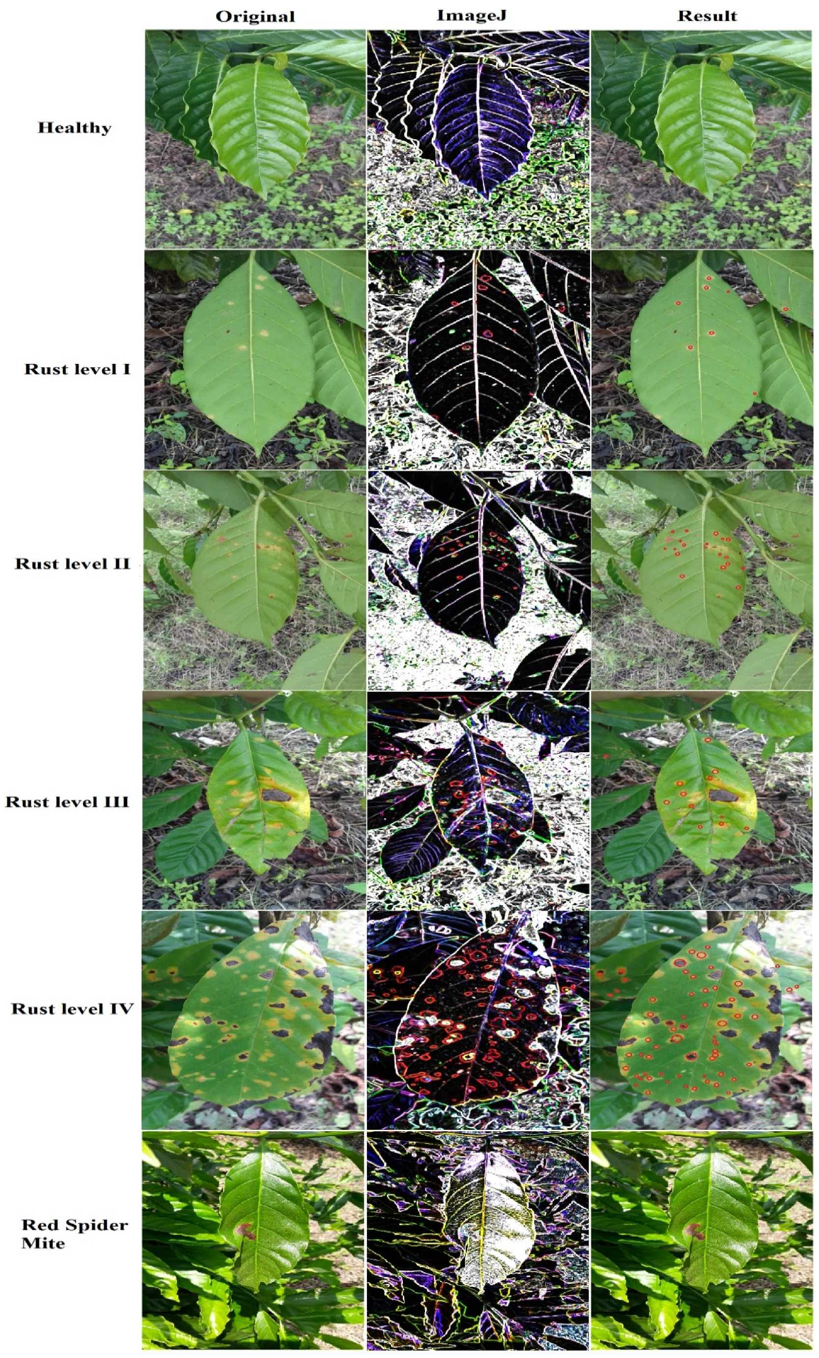 Agriengineering 05 00088 g008