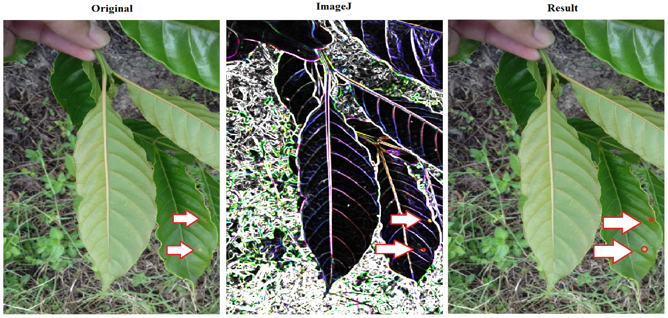 Agriengineering 05 00088 g009