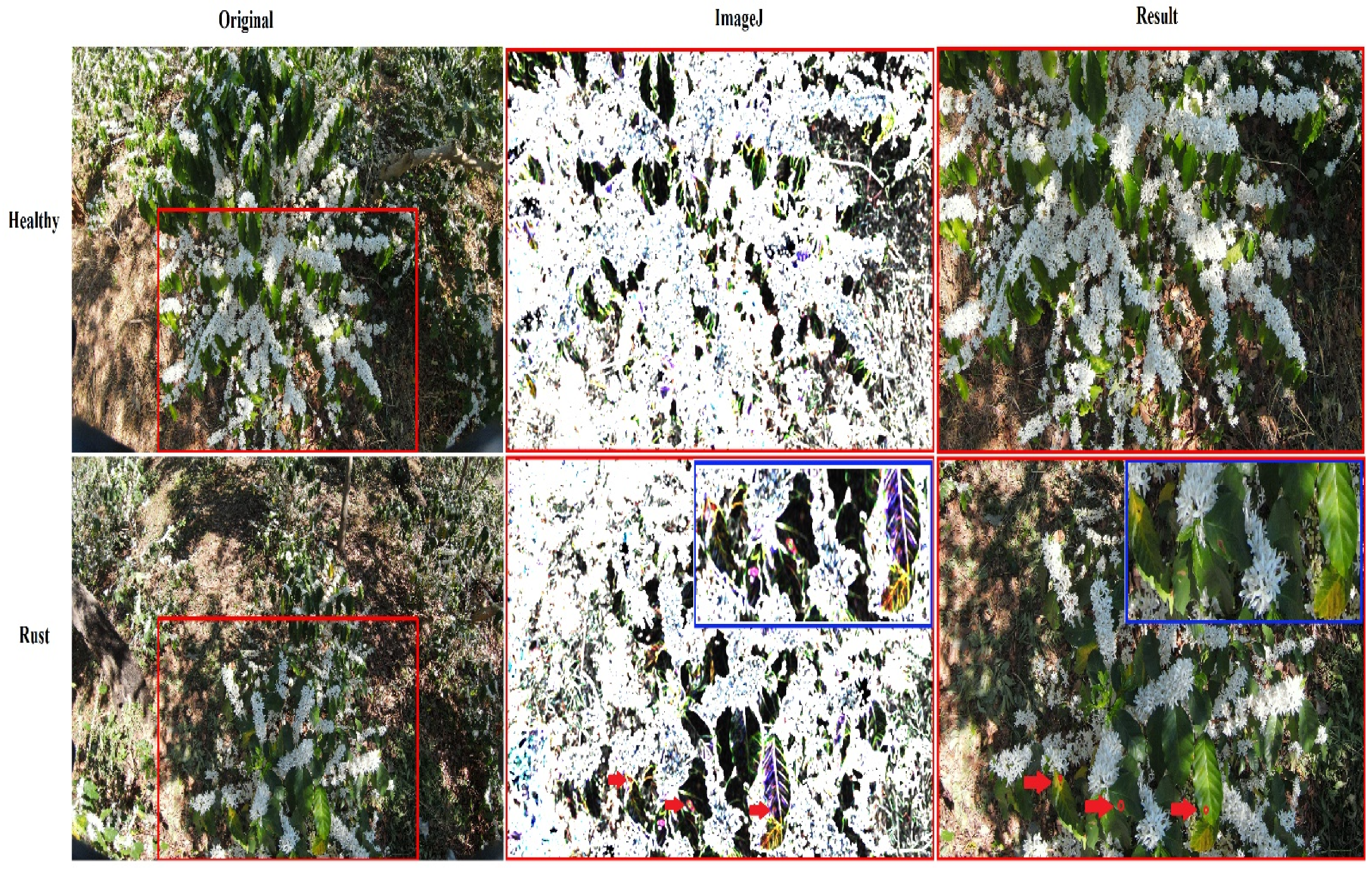 Agriengineering 05 00088 g010