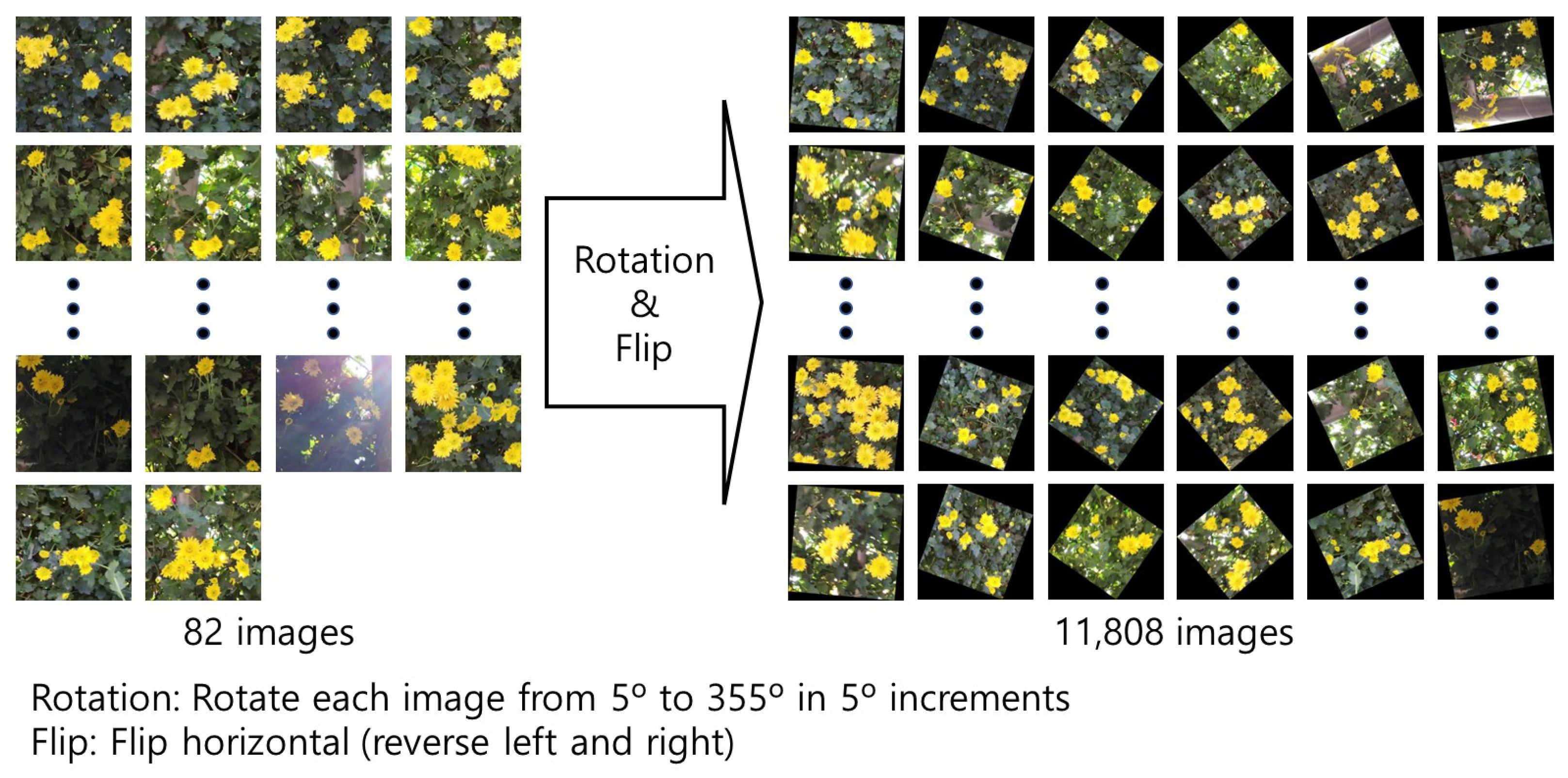 Agriengineering 05 00094 g005