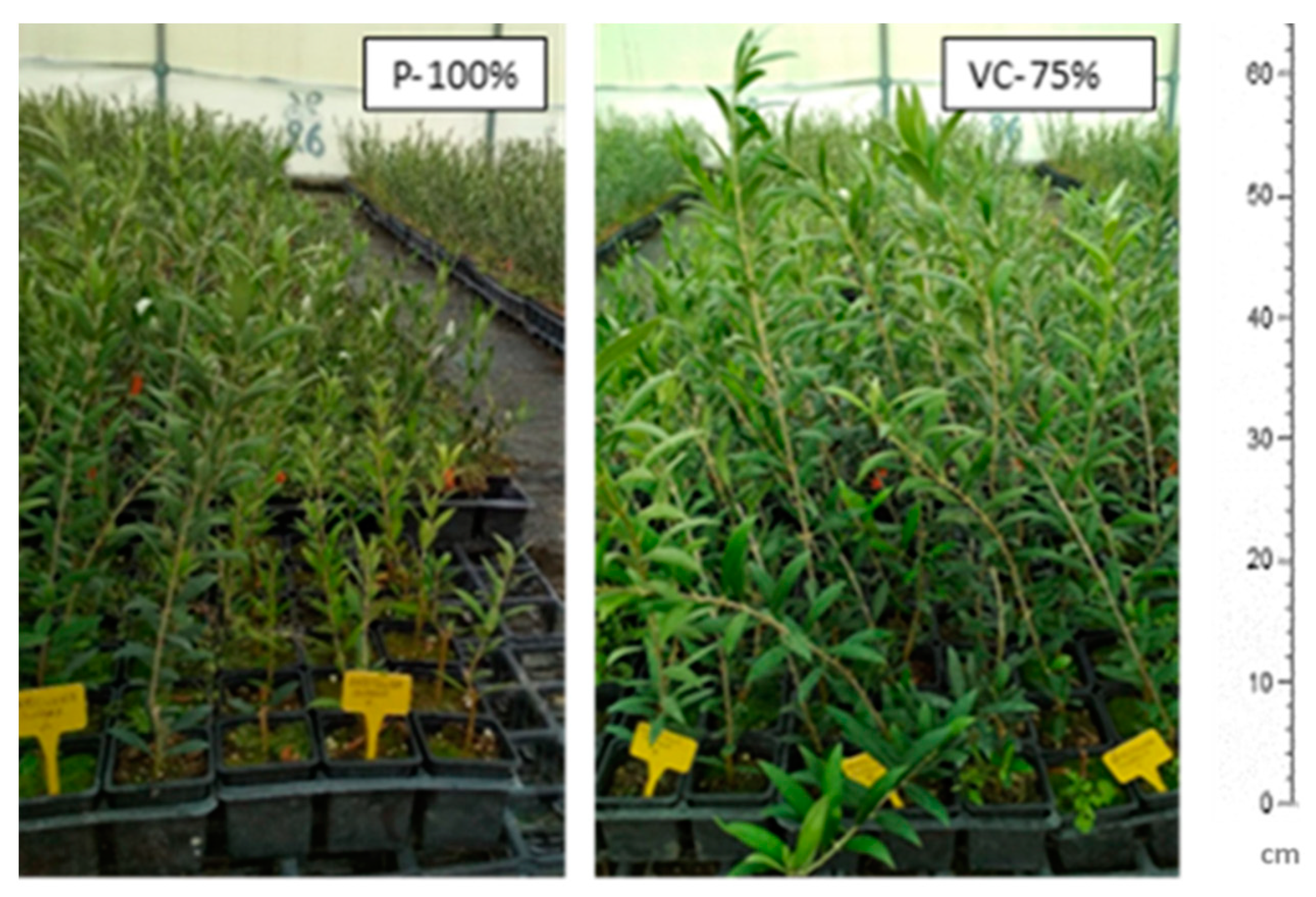 Agriengineering 05 00101 g003