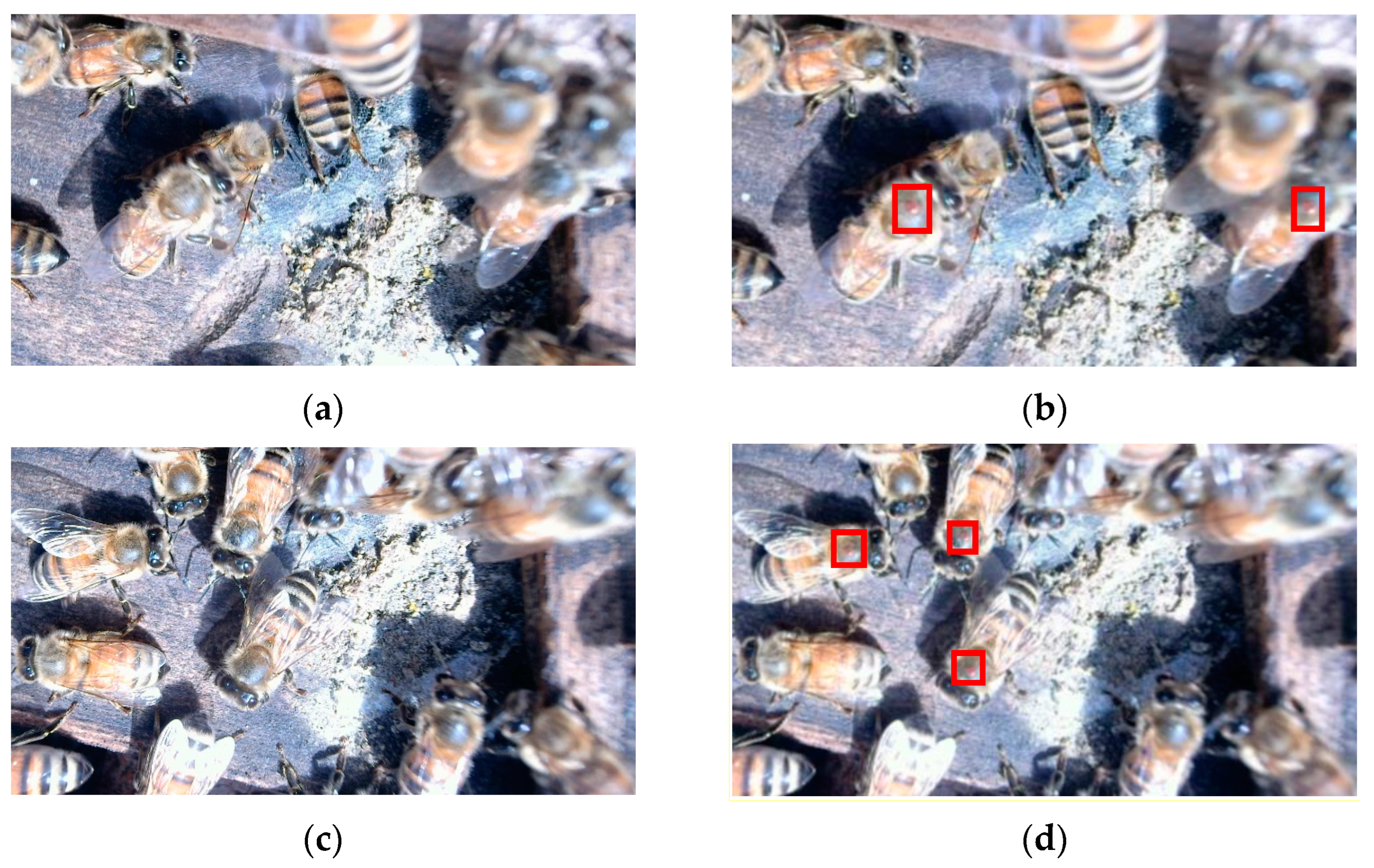 Agriengineering 05 00102 g001