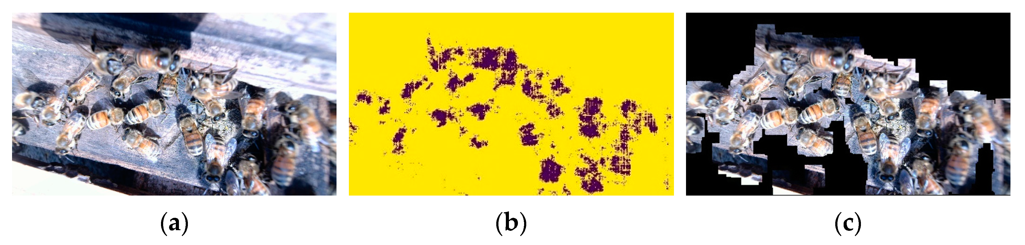 Agriengineering 05 00102 g006