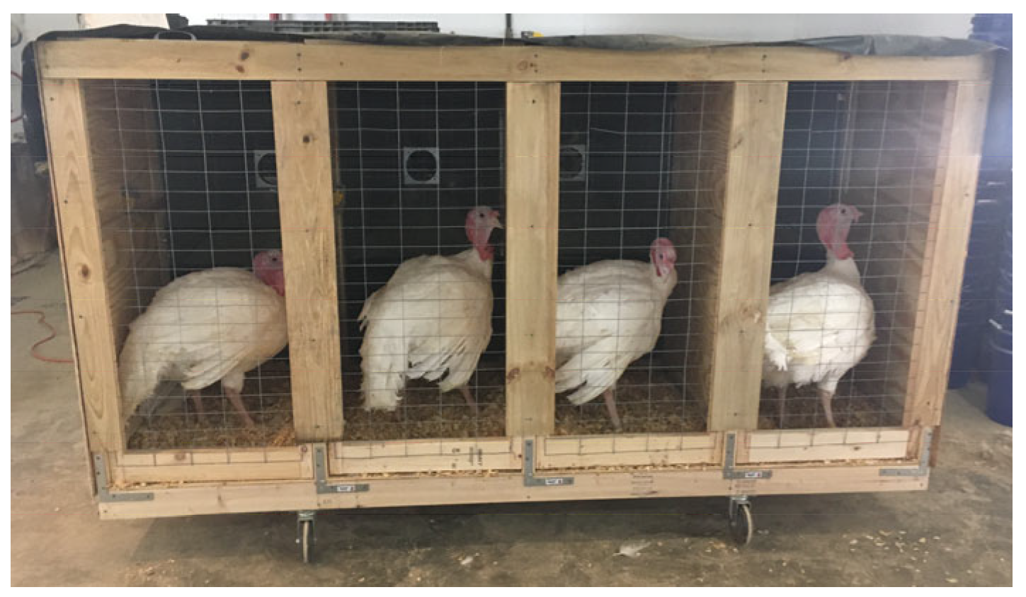 Agriengineering 05 00121 g001