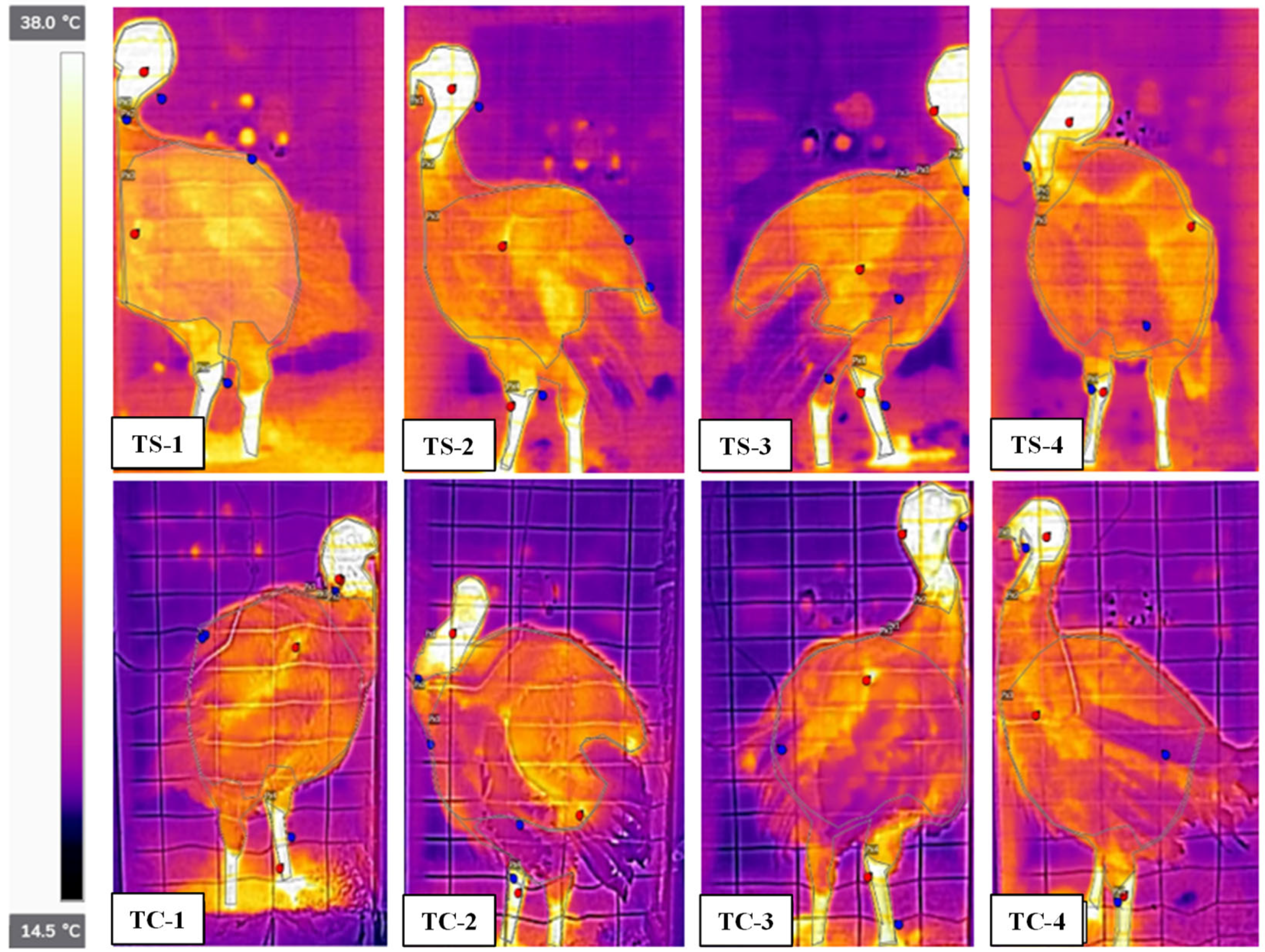 Agriengineering 05 00121 g004