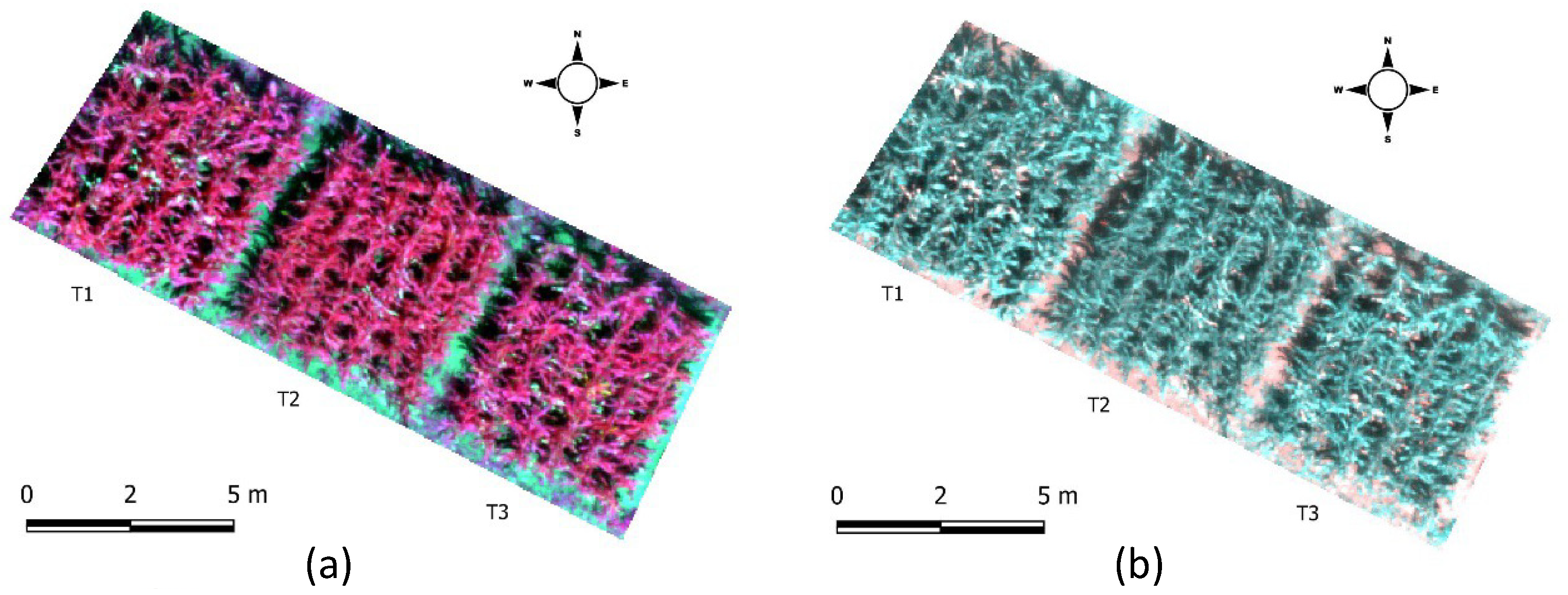 Agriengineering 05 00129 g002