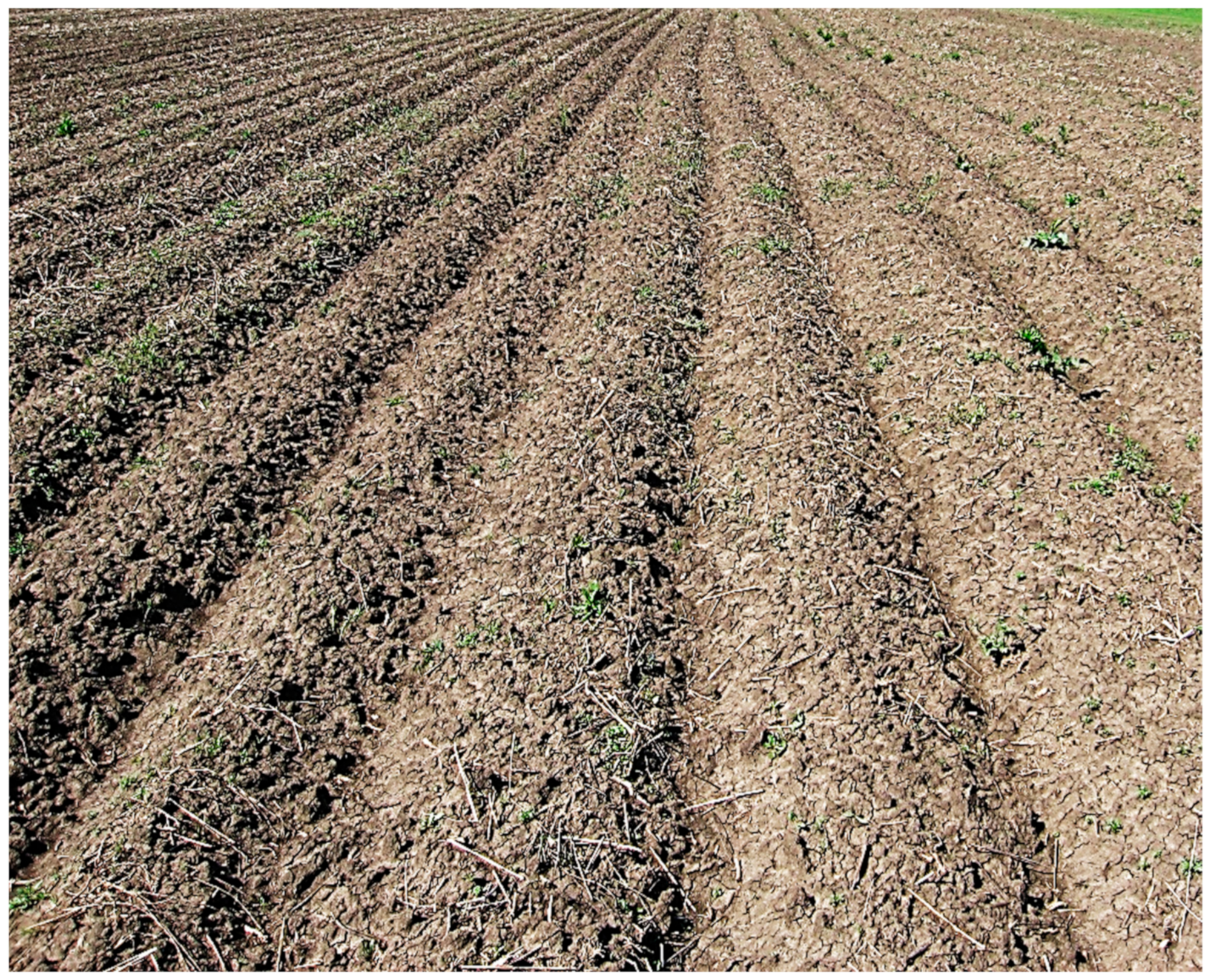 Agriengineering 05 00134 g009