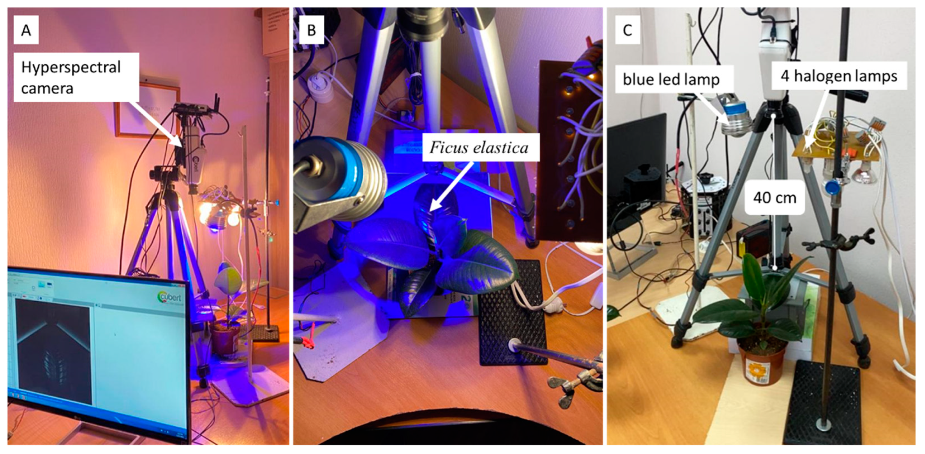 Agriengineering 05 00138 g001