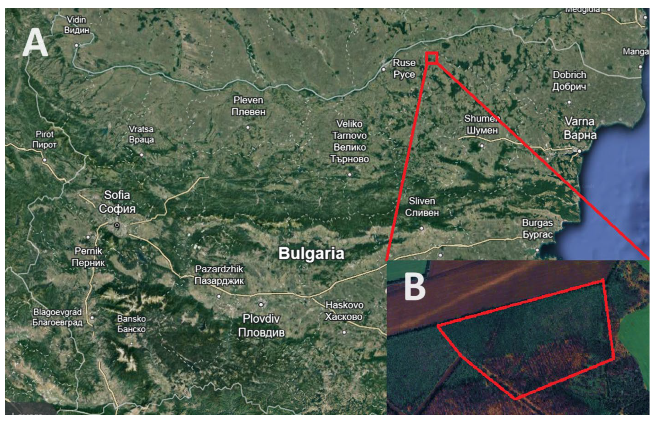 Agriengineering 06 00007 g001