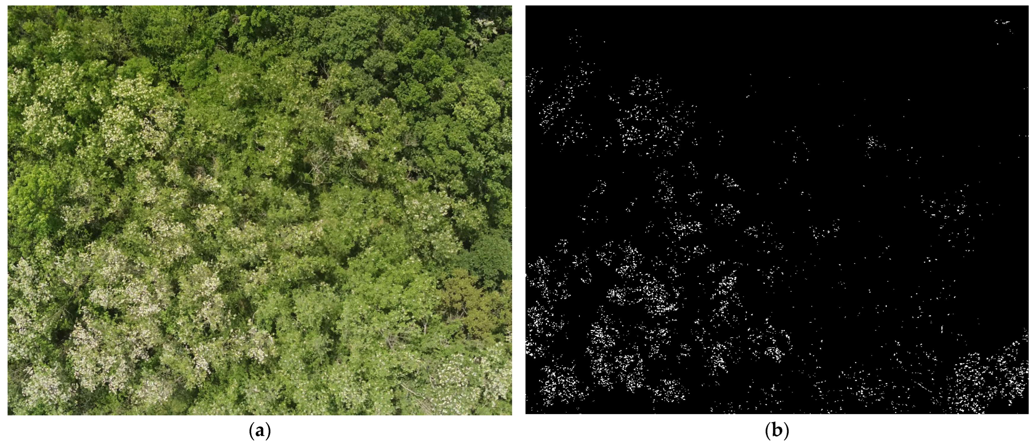 Agriengineering 06 00007 g007