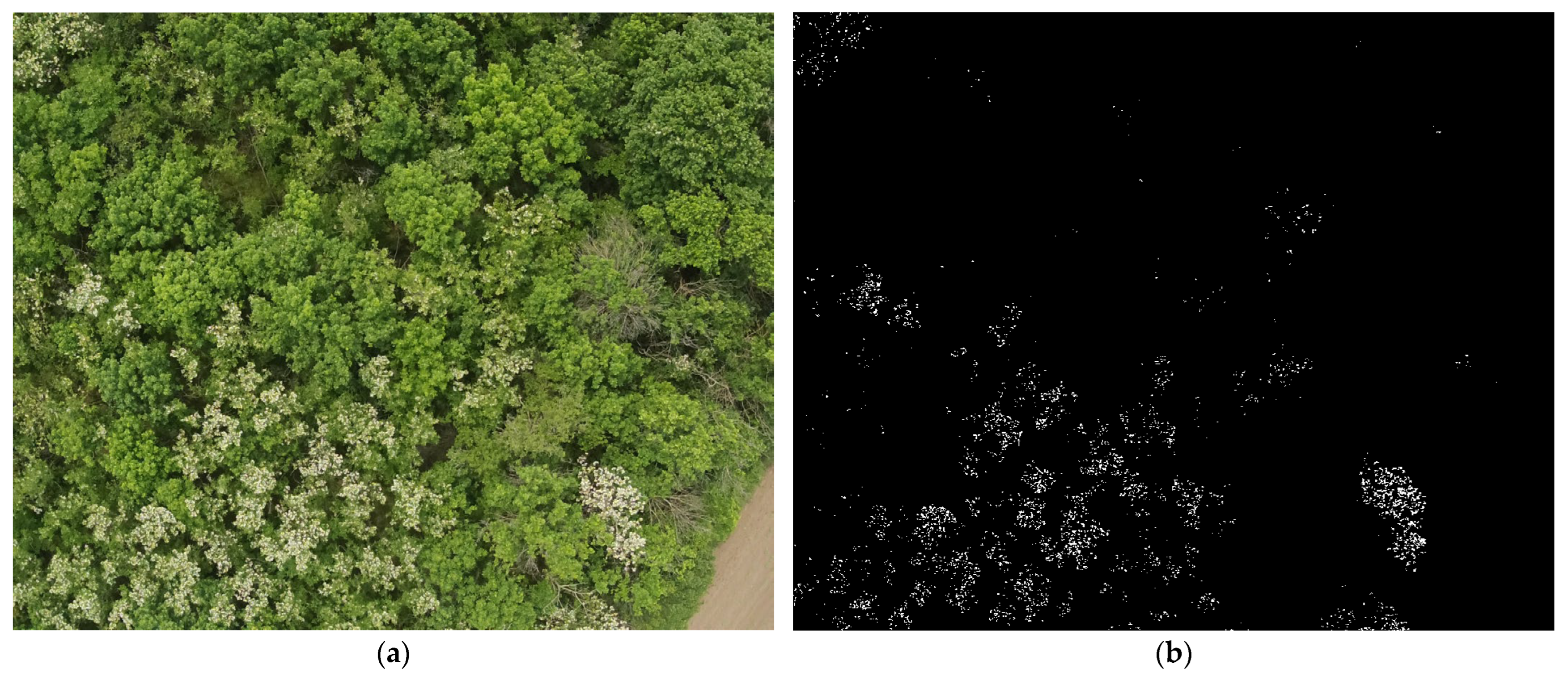 Agriengineering 06 00007 g008