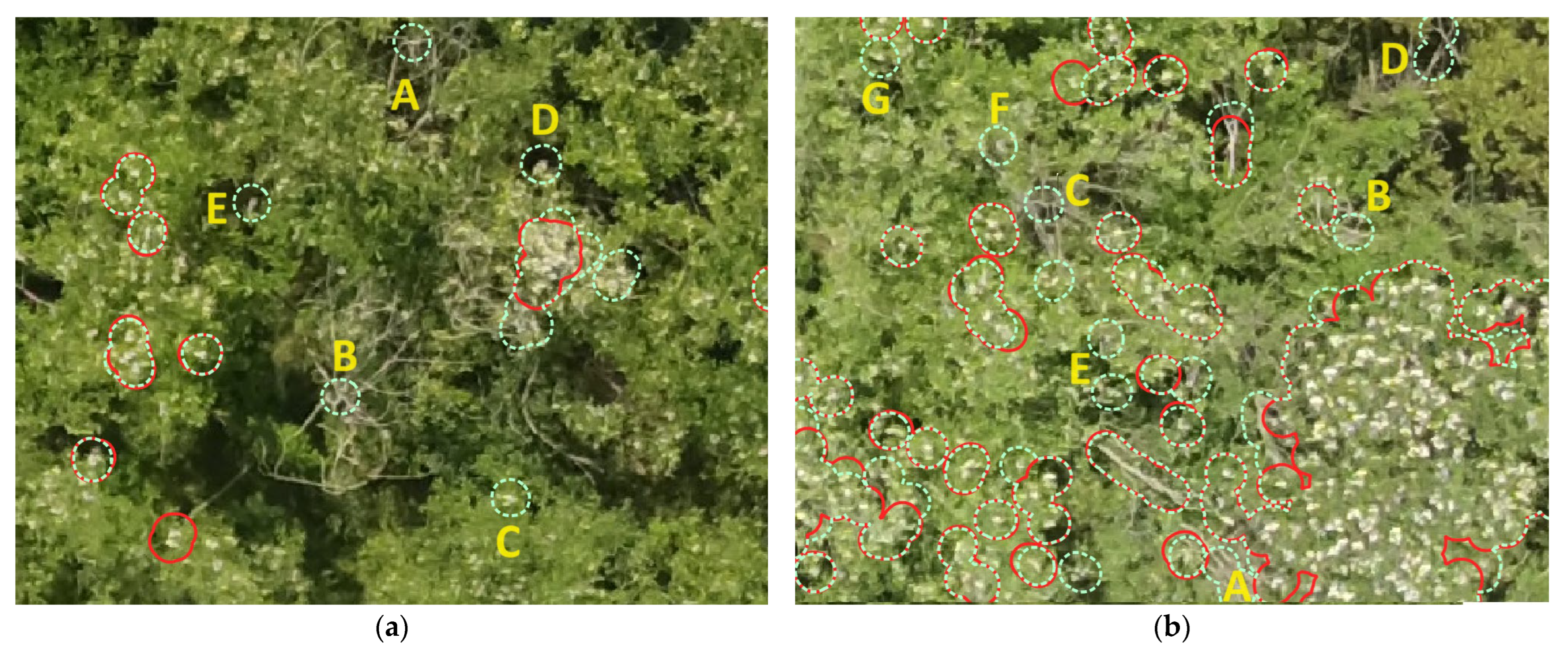 Agriengineering 06 00007 g011