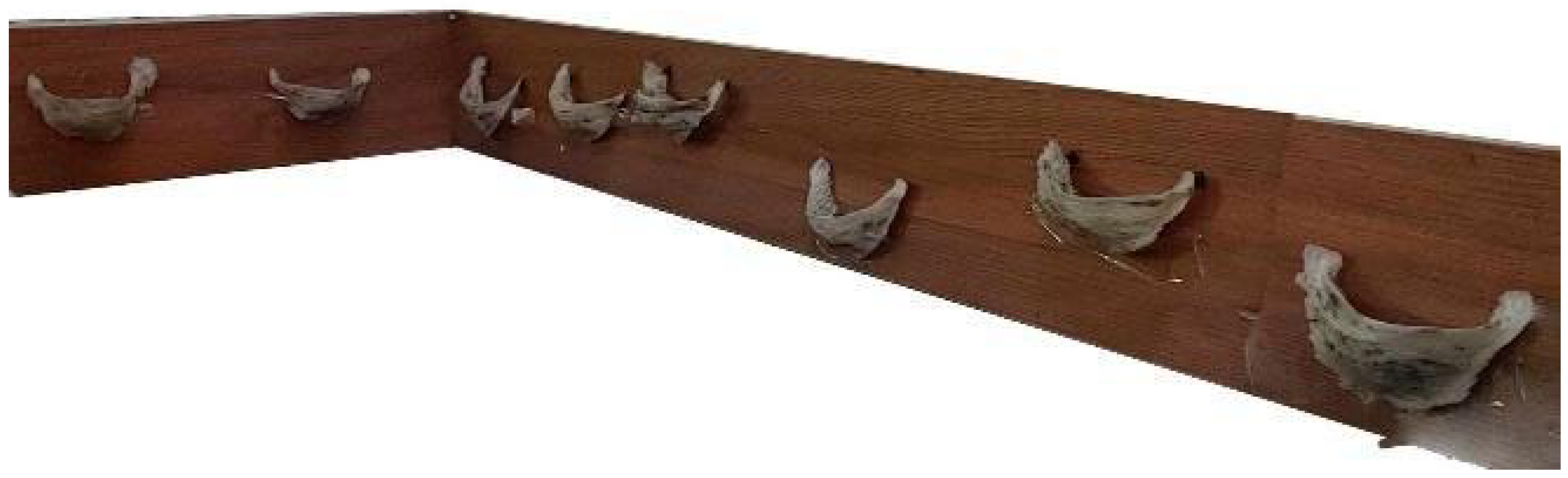 Agriengineering 06 00008 g009a