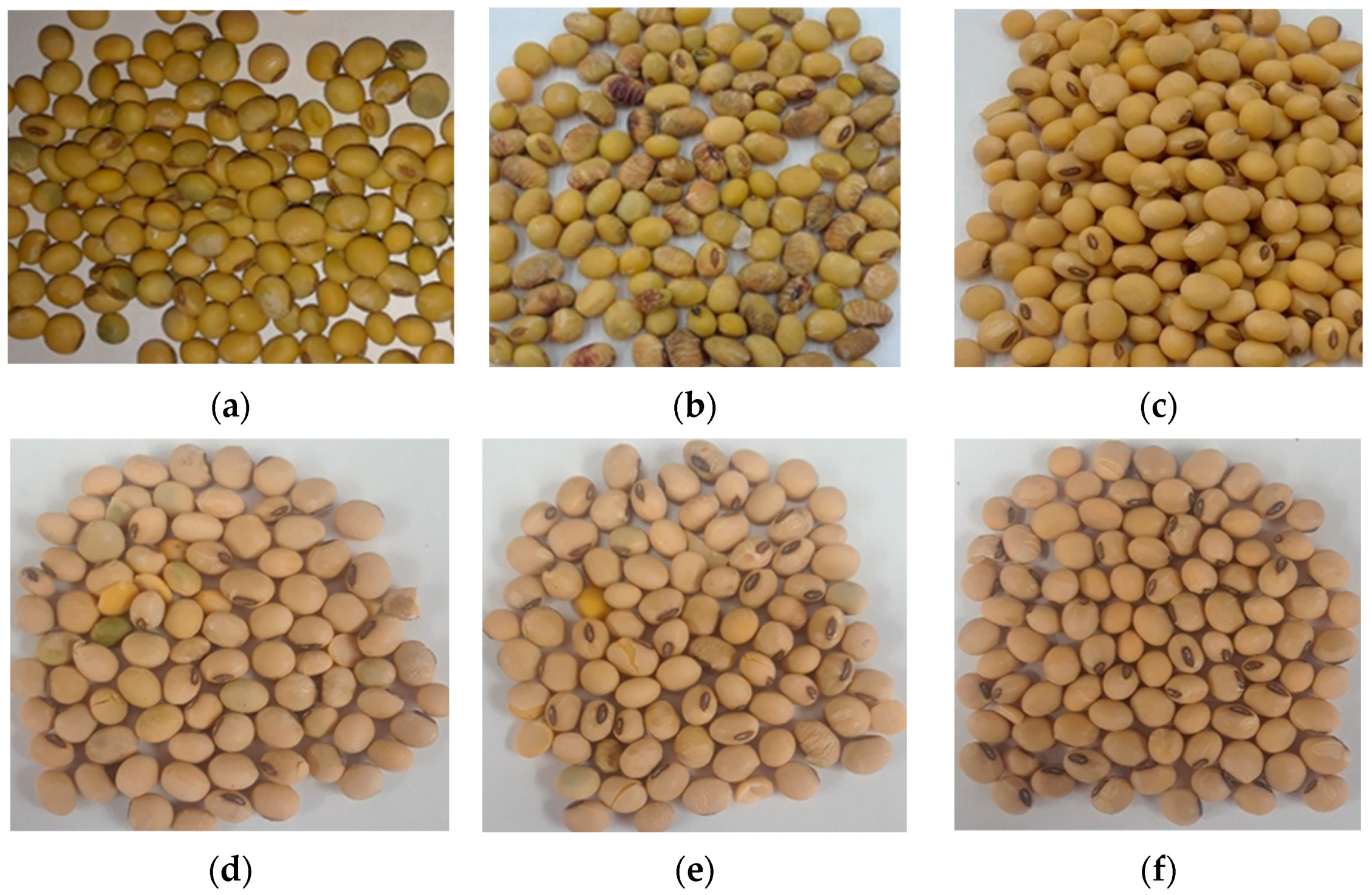 Agriengineering 06 00009 g008 Agriengineering 06 00009 g008
