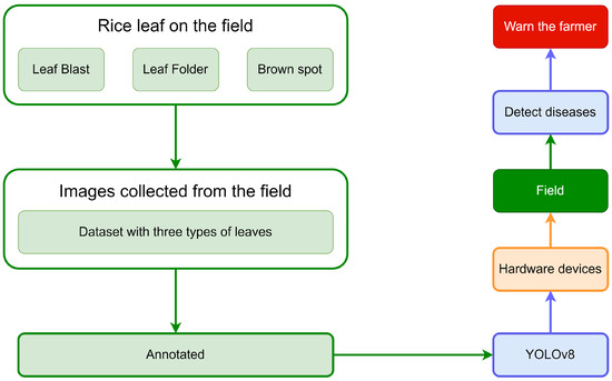 Alpha-EIOU-YOLOv8: An Improved Algorithm for Rice Leaf Disease Detection