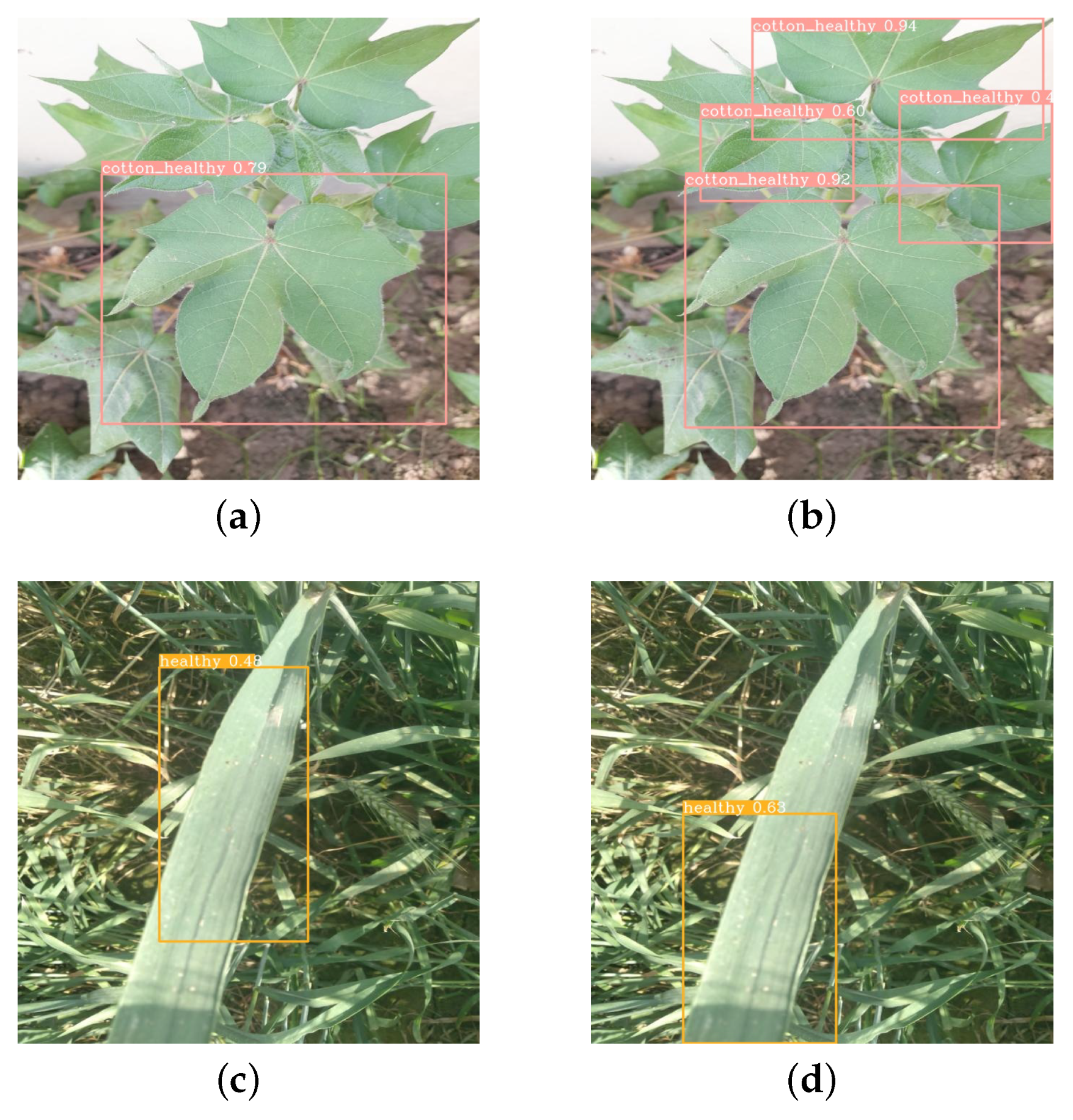 Agriengineering 06 00021 g012a