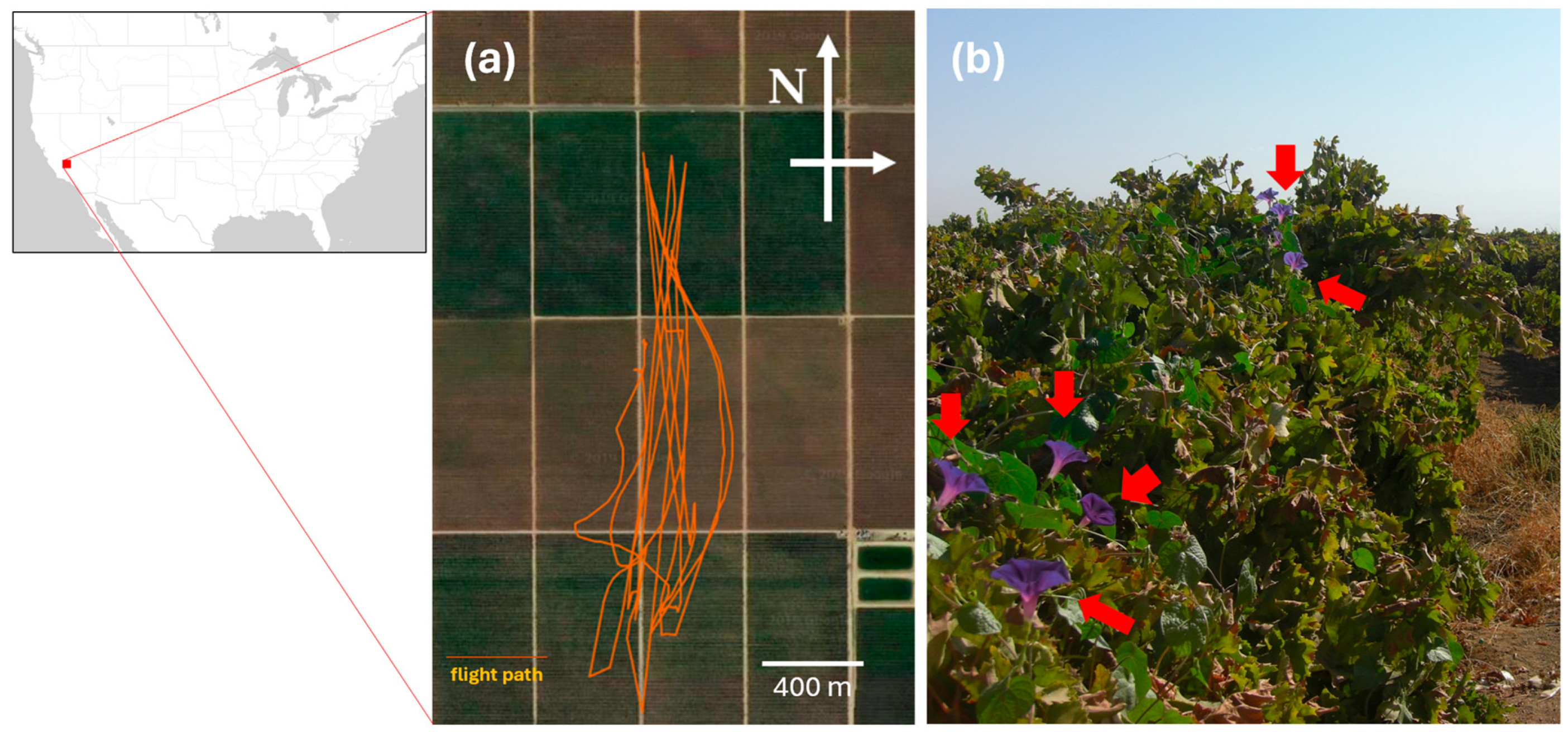 Agriengineering 06 00034 g001