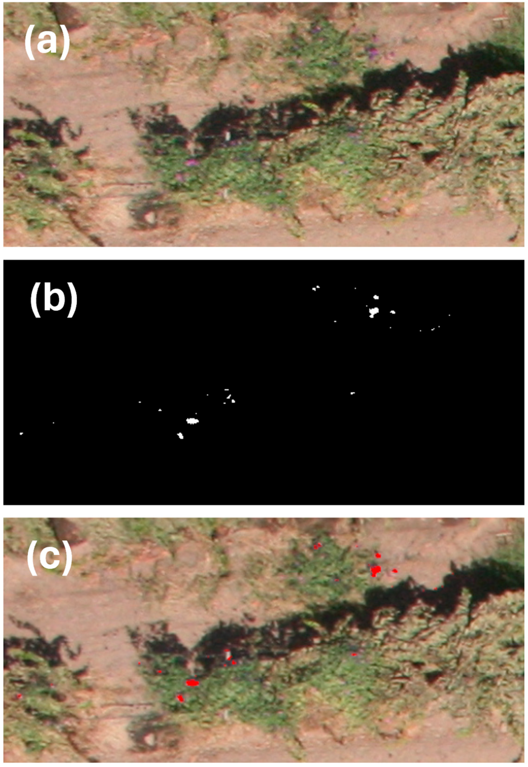 Agriengineering 06 00034 g006