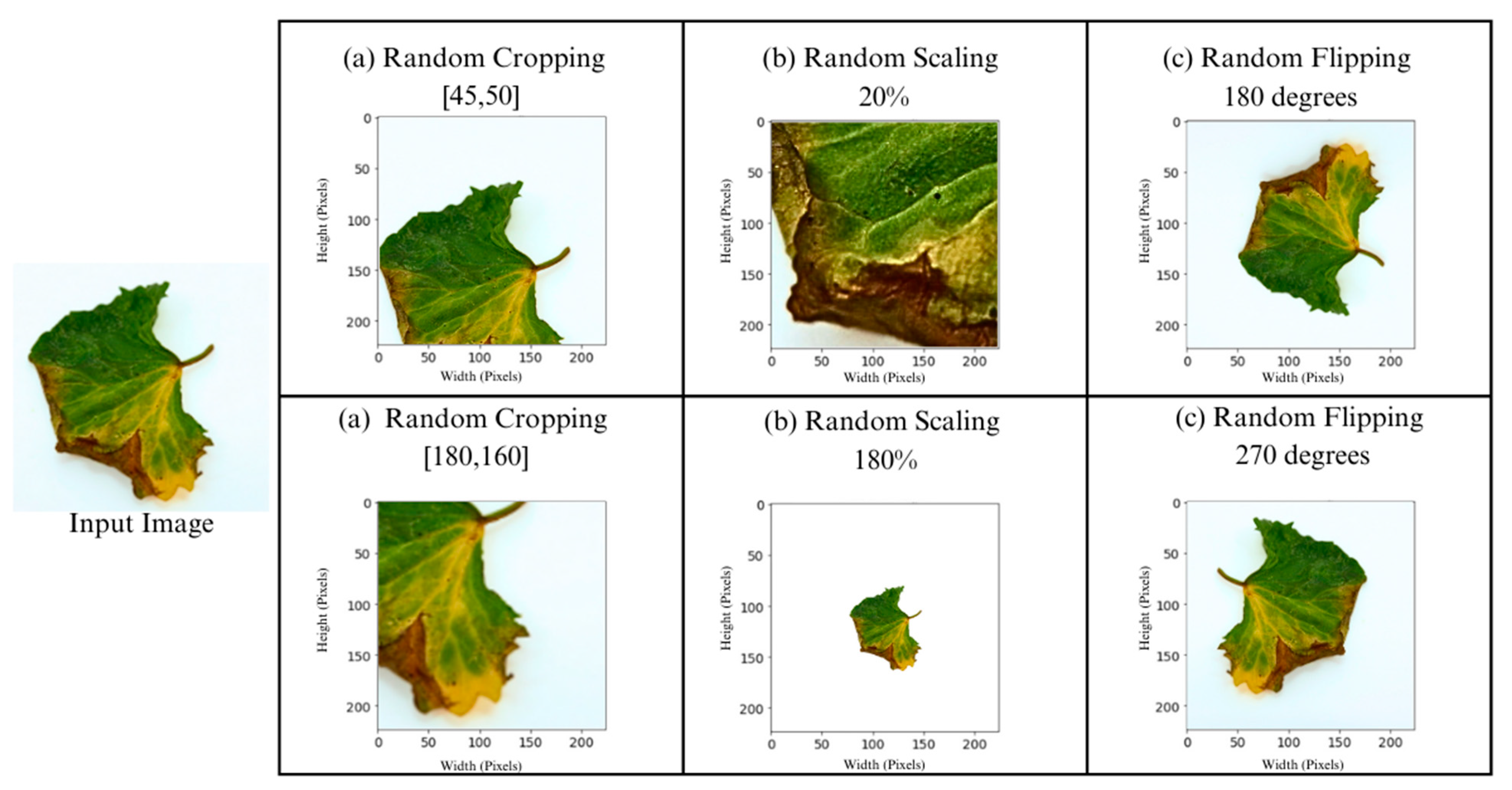 AgriEngineering | Free Full-Text | Two-Stage Ensemble Deep Learning ...