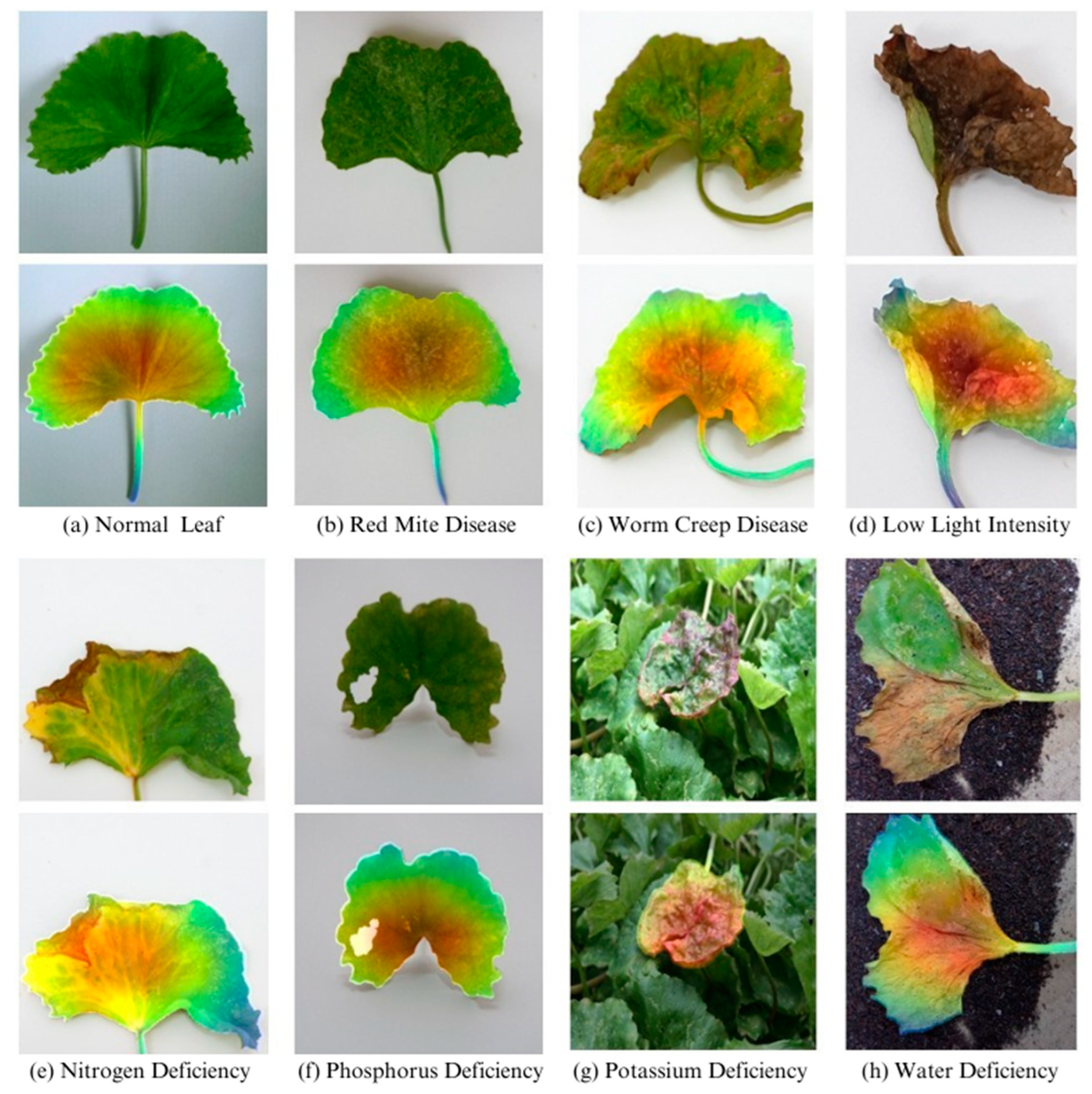 Agriengineering 06 00037 g006