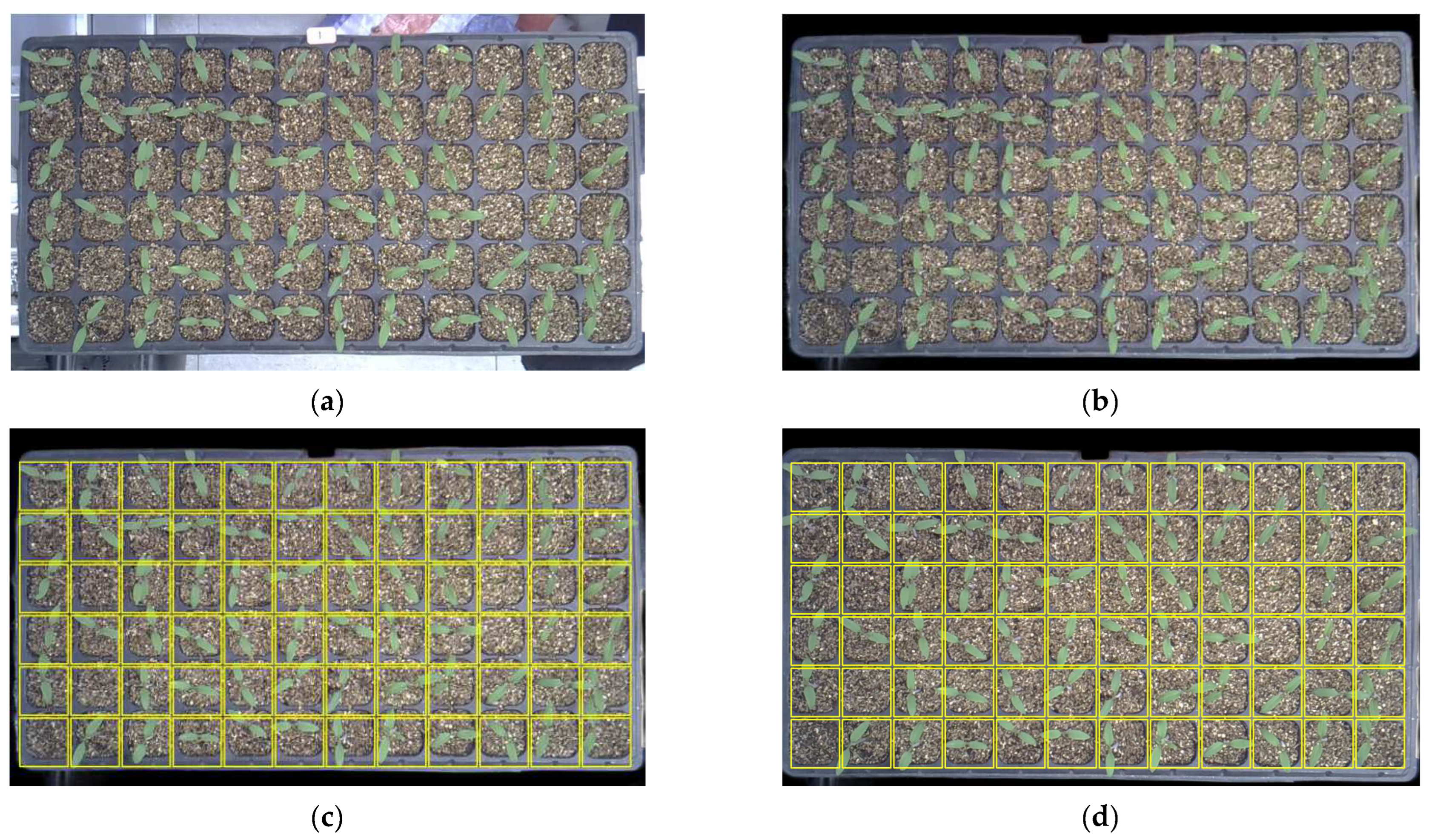 Agriengineering 06 00040 g007