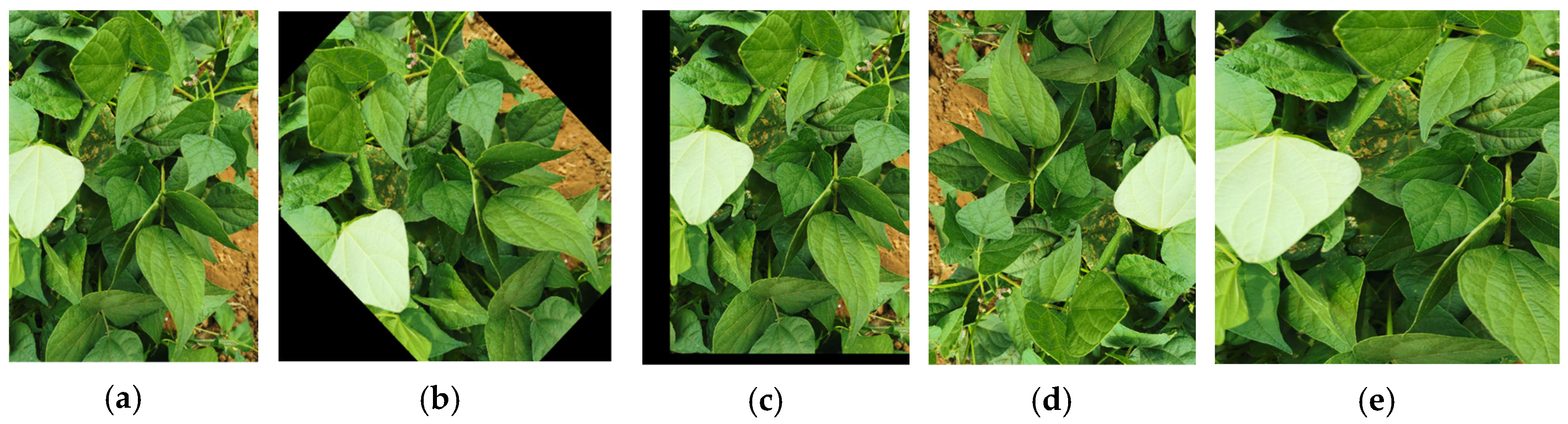 Agriengineering 06 00048 g007