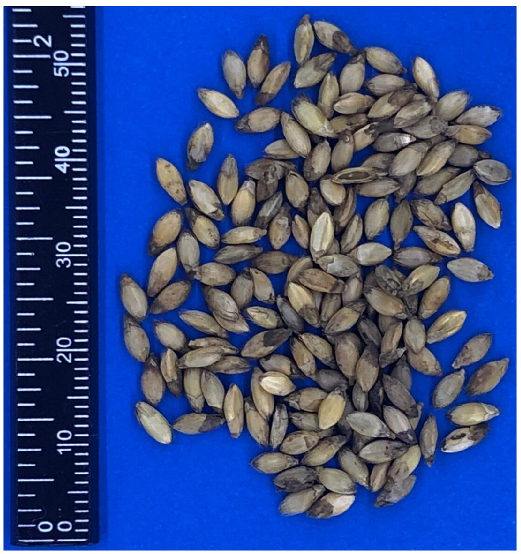 Agriengineering 06 00050 g001