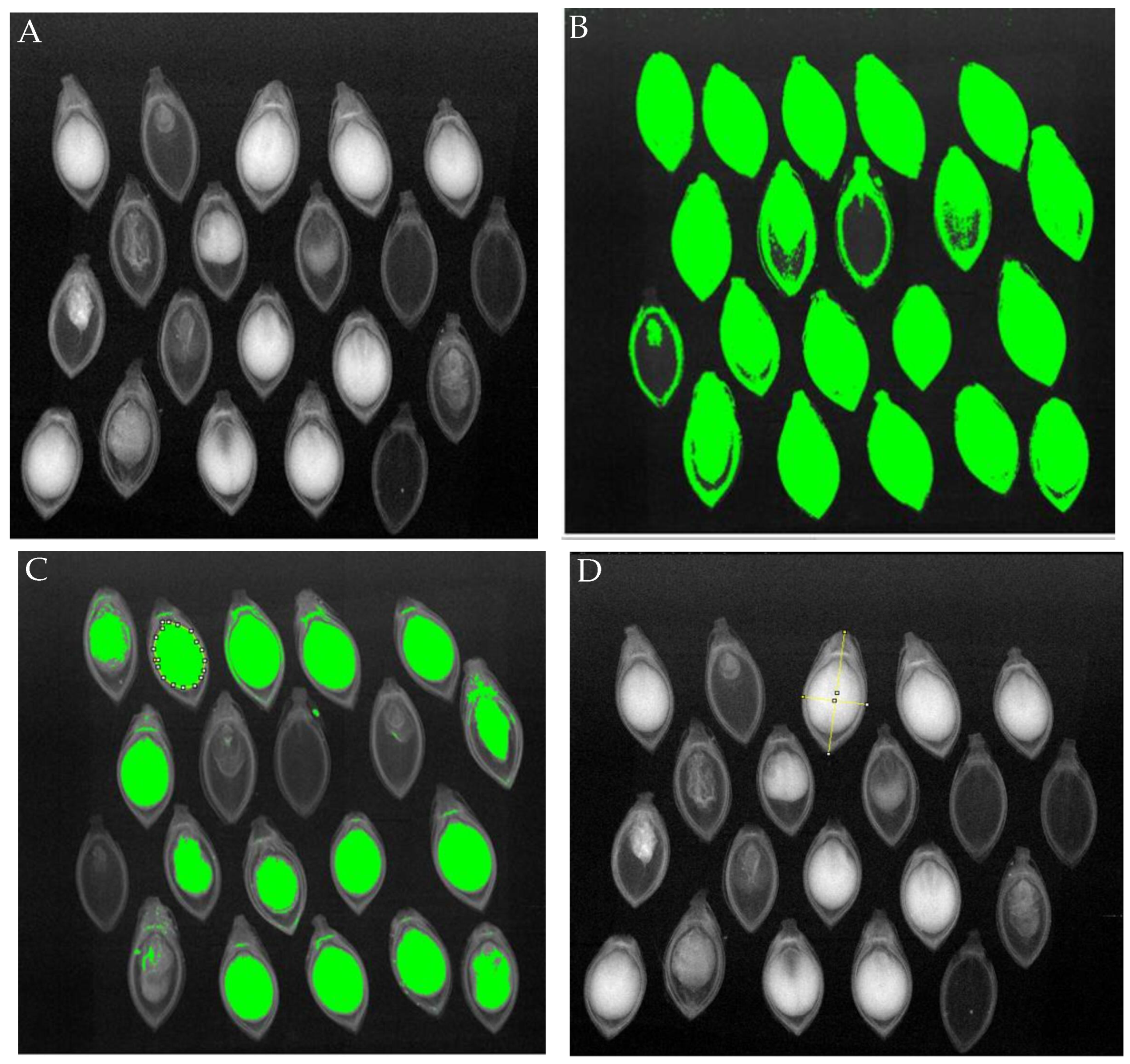 Agriengineering 06 00050 g003