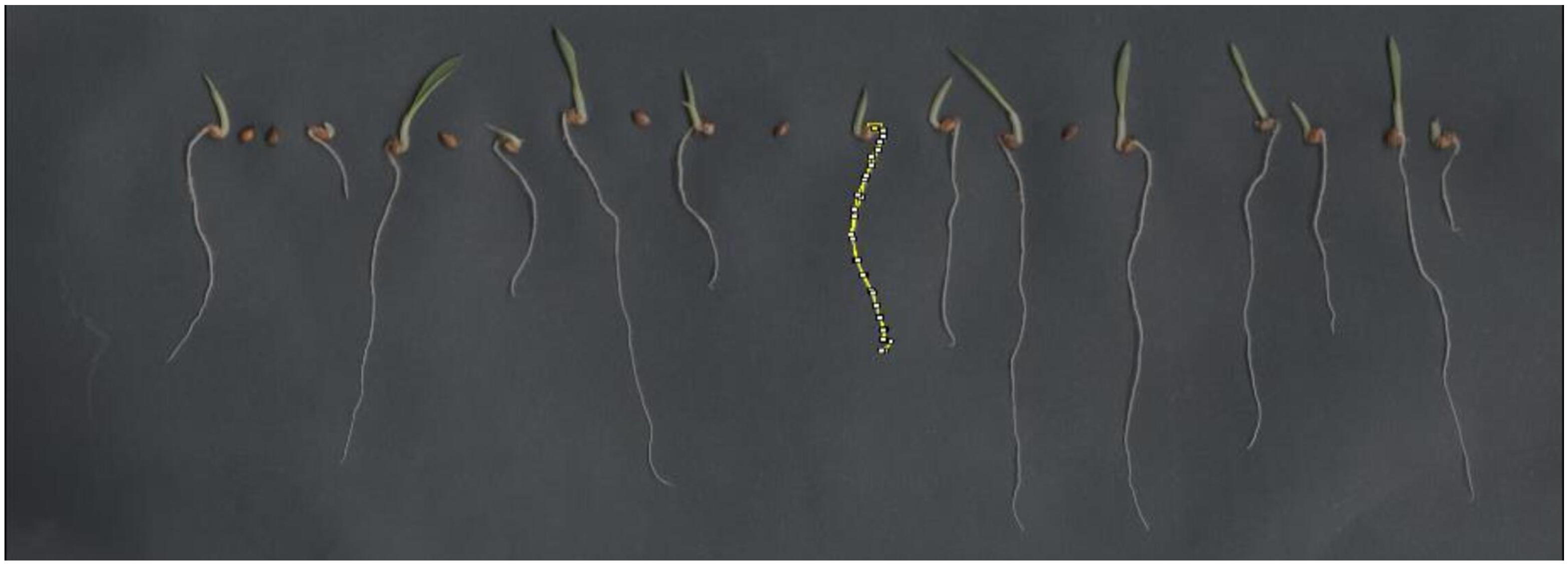 Agriengineering 06 00050 g005