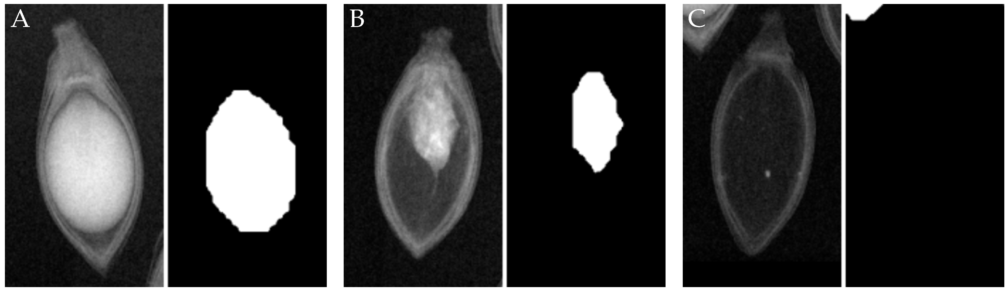 Agriengineering 06 00050 g007