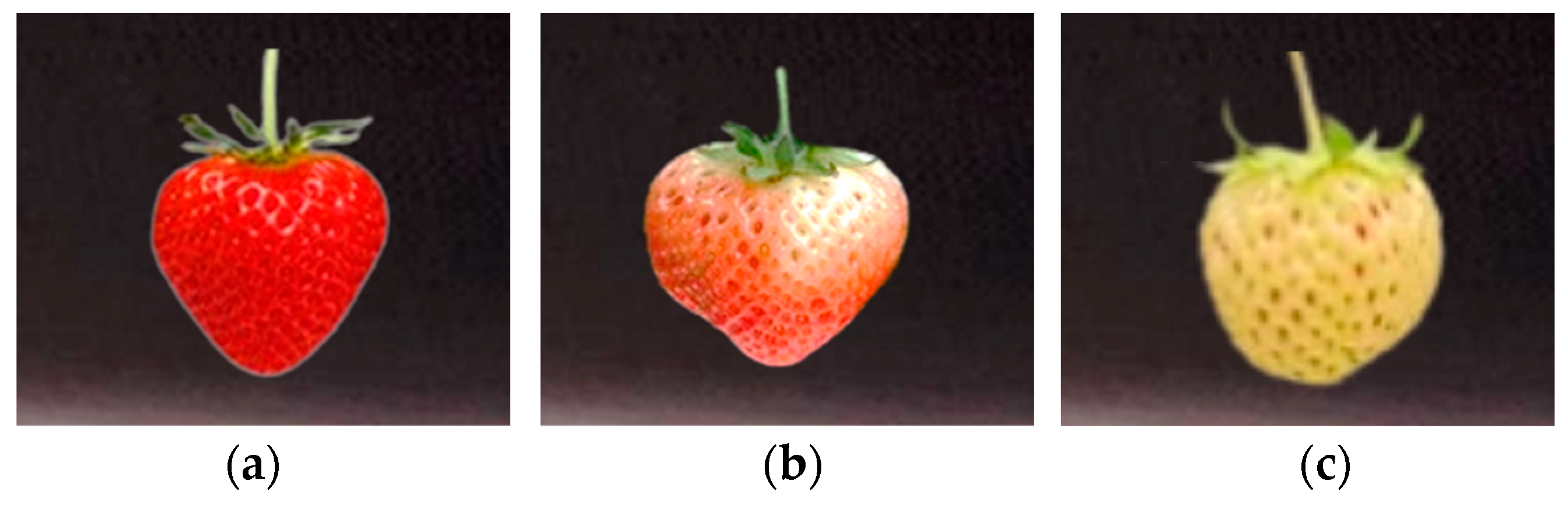 Agriengineering 06 00055 g001