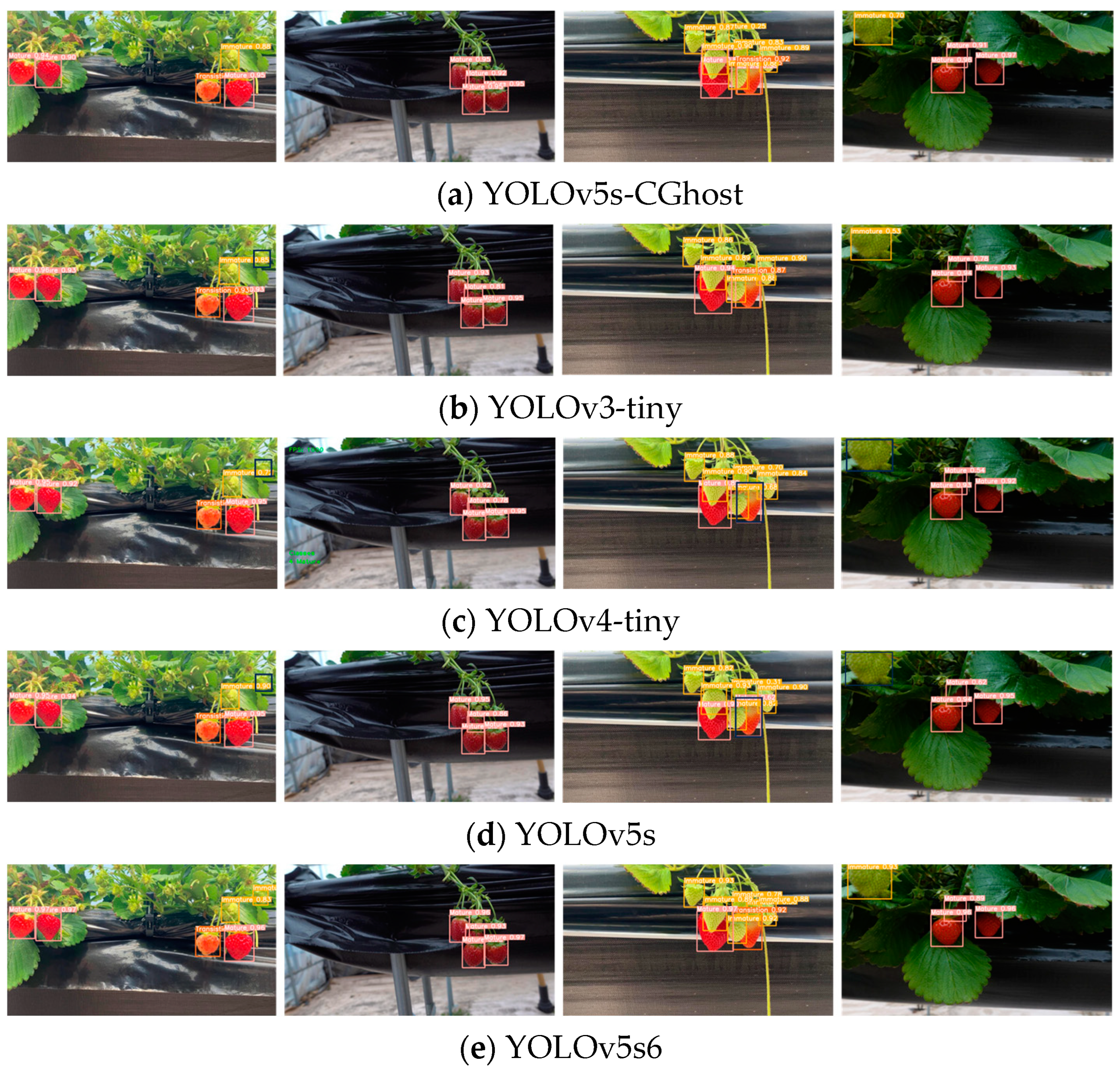 Agriengineering 06 00055 g006