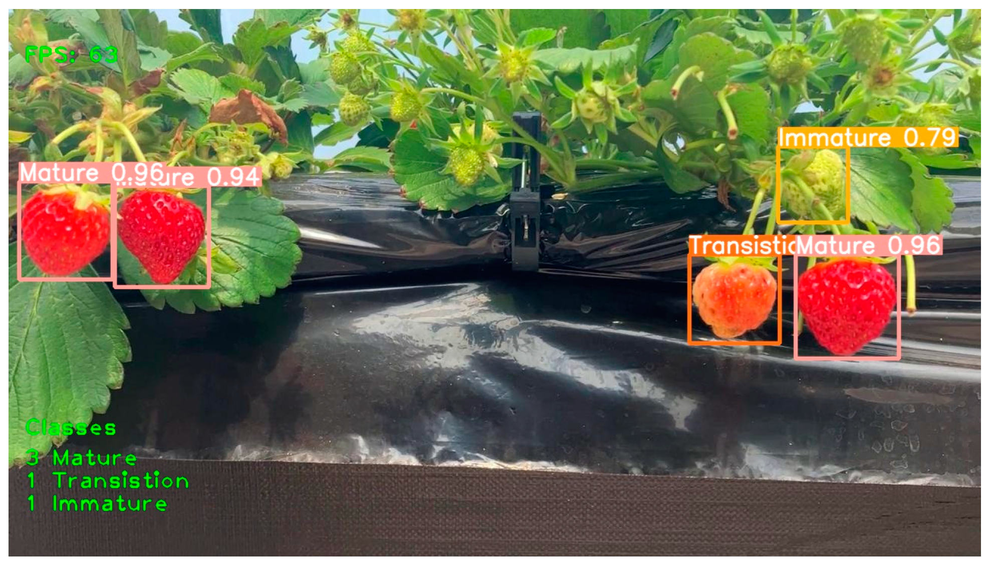 Agriengineering 06 00055 g008