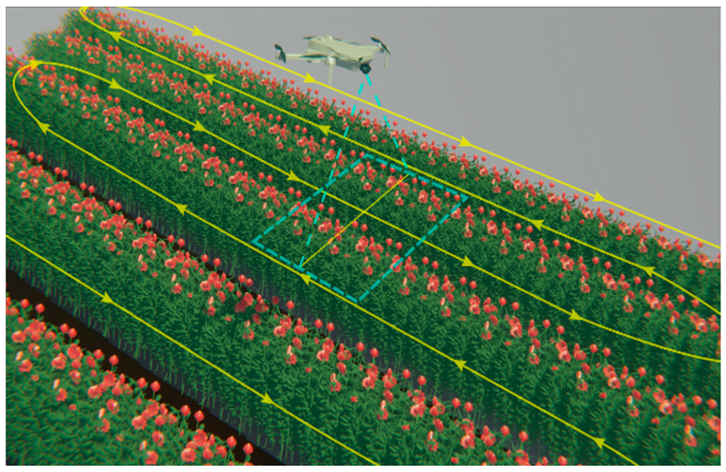 Agriengineering 06 00058 g002