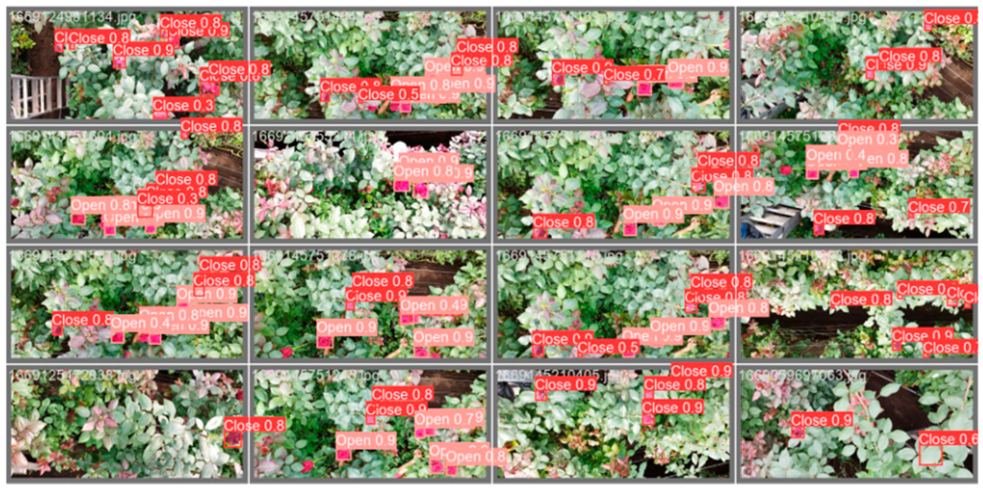 Agriengineering 06 00058 g006