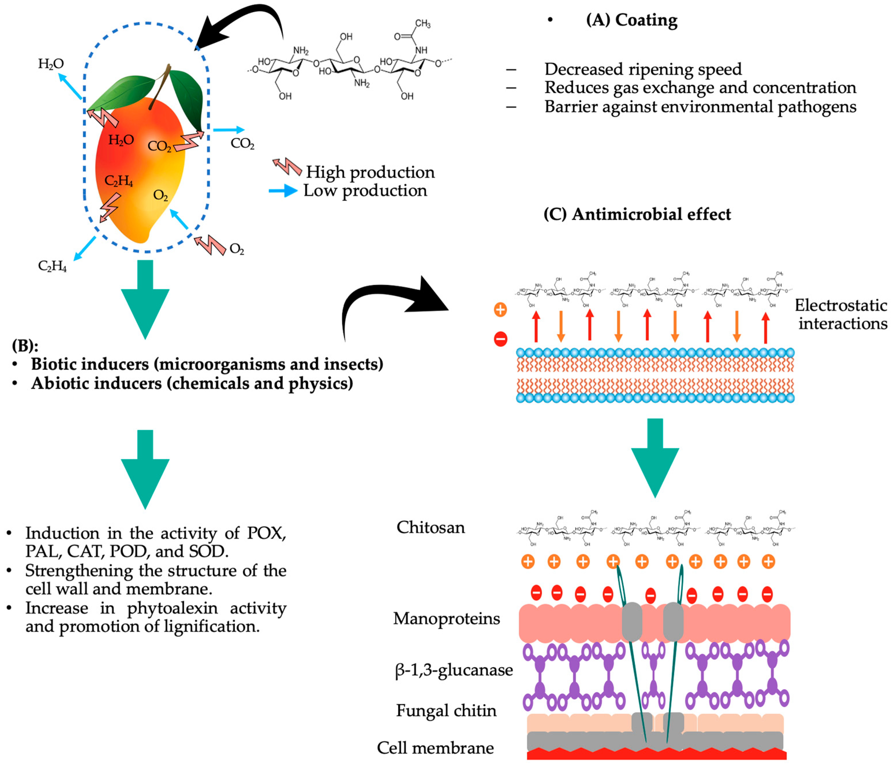 Agriengineering 06 00059 g005