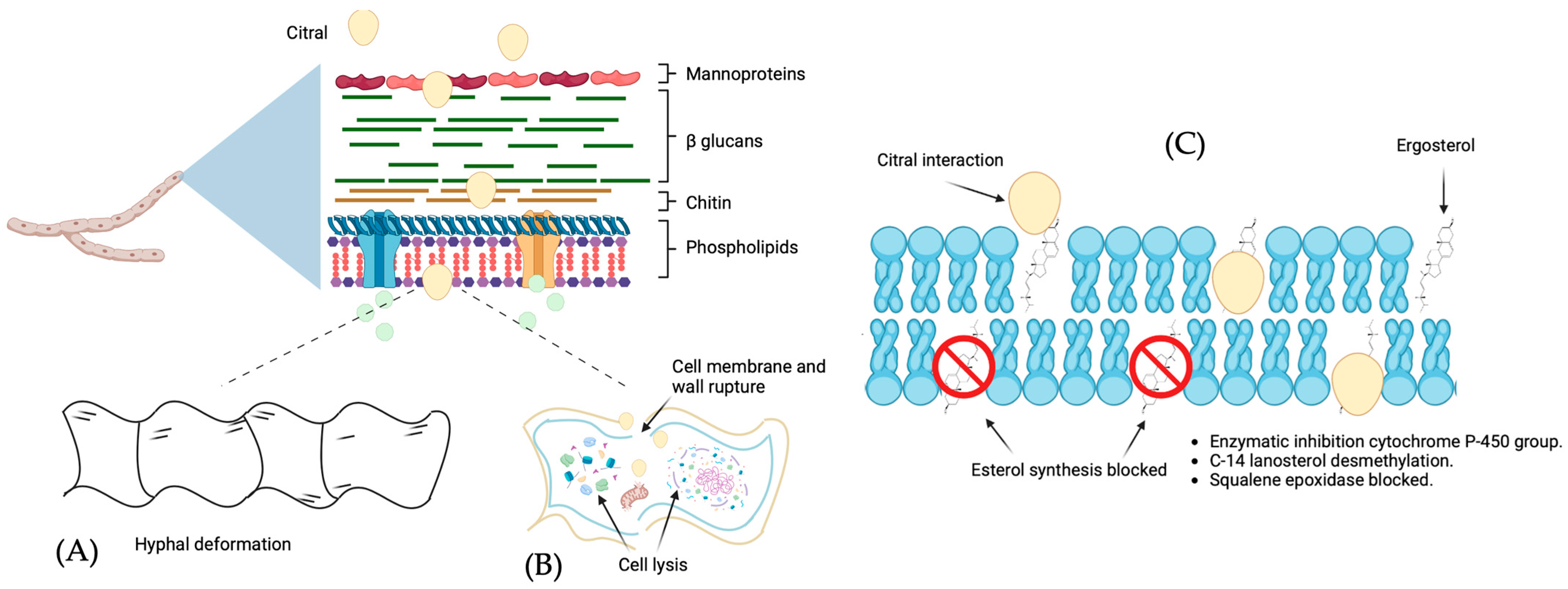 Agriengineering 06 00059 g006