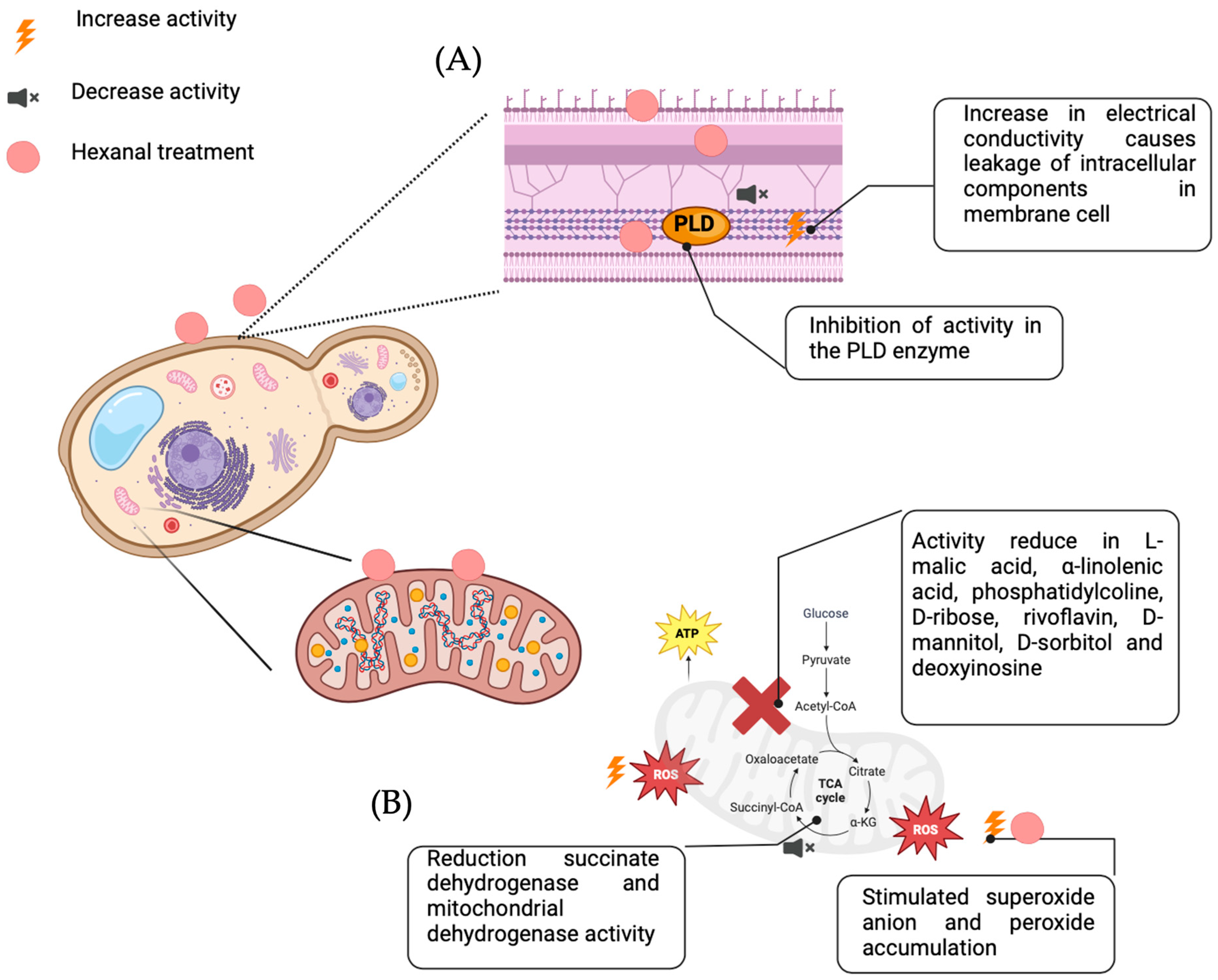 Agriengineering 06 00059 g007