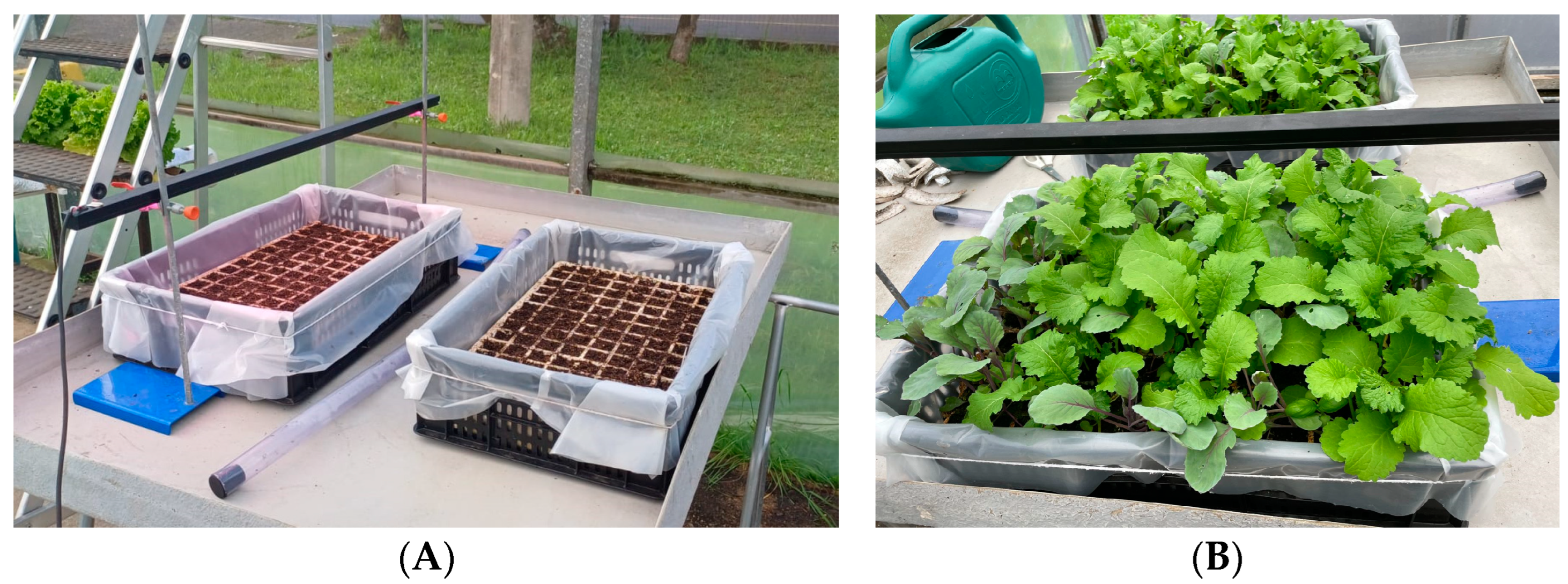 Agriengineering 06 00060 g002