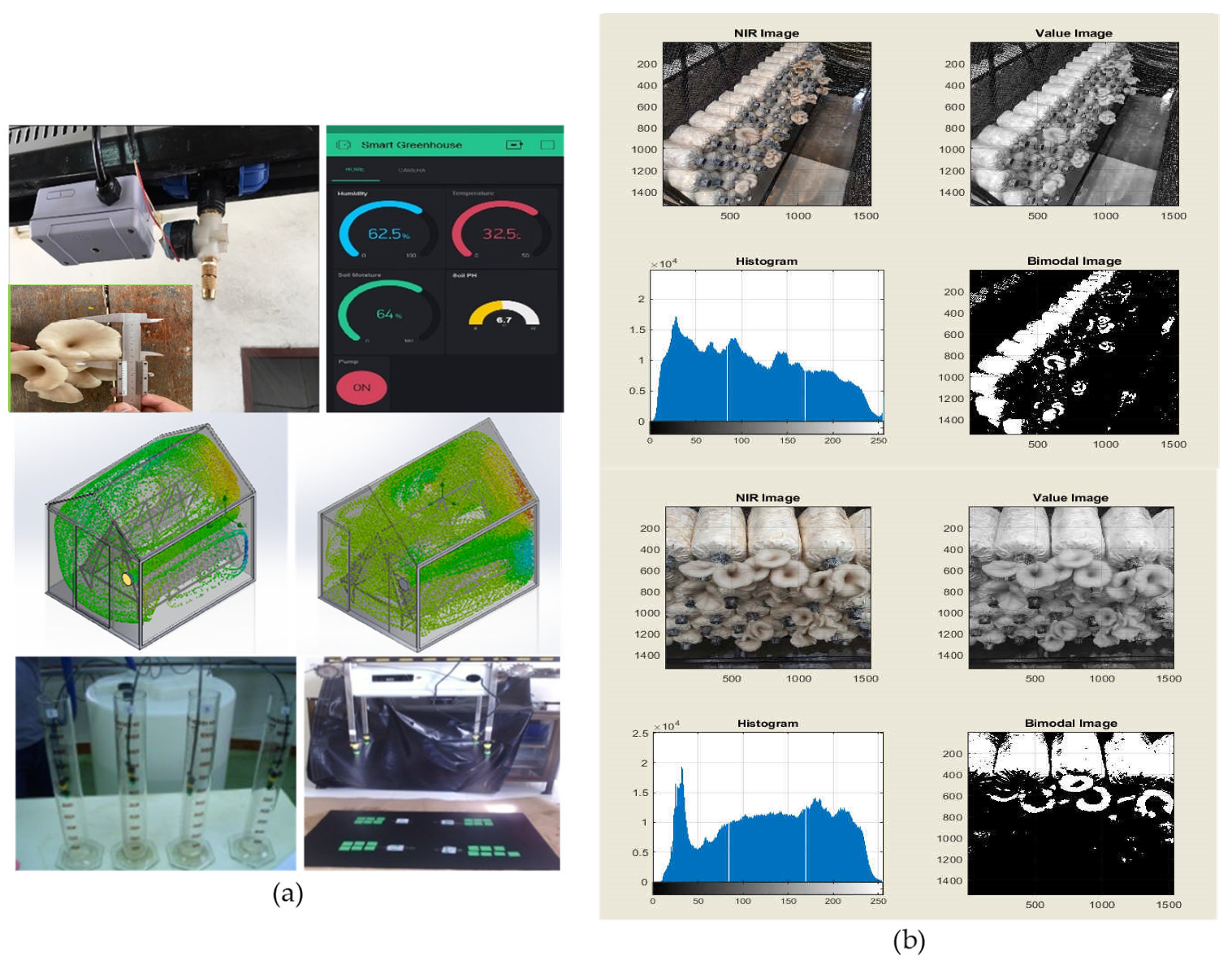 Agriengineering 06 00061 g011