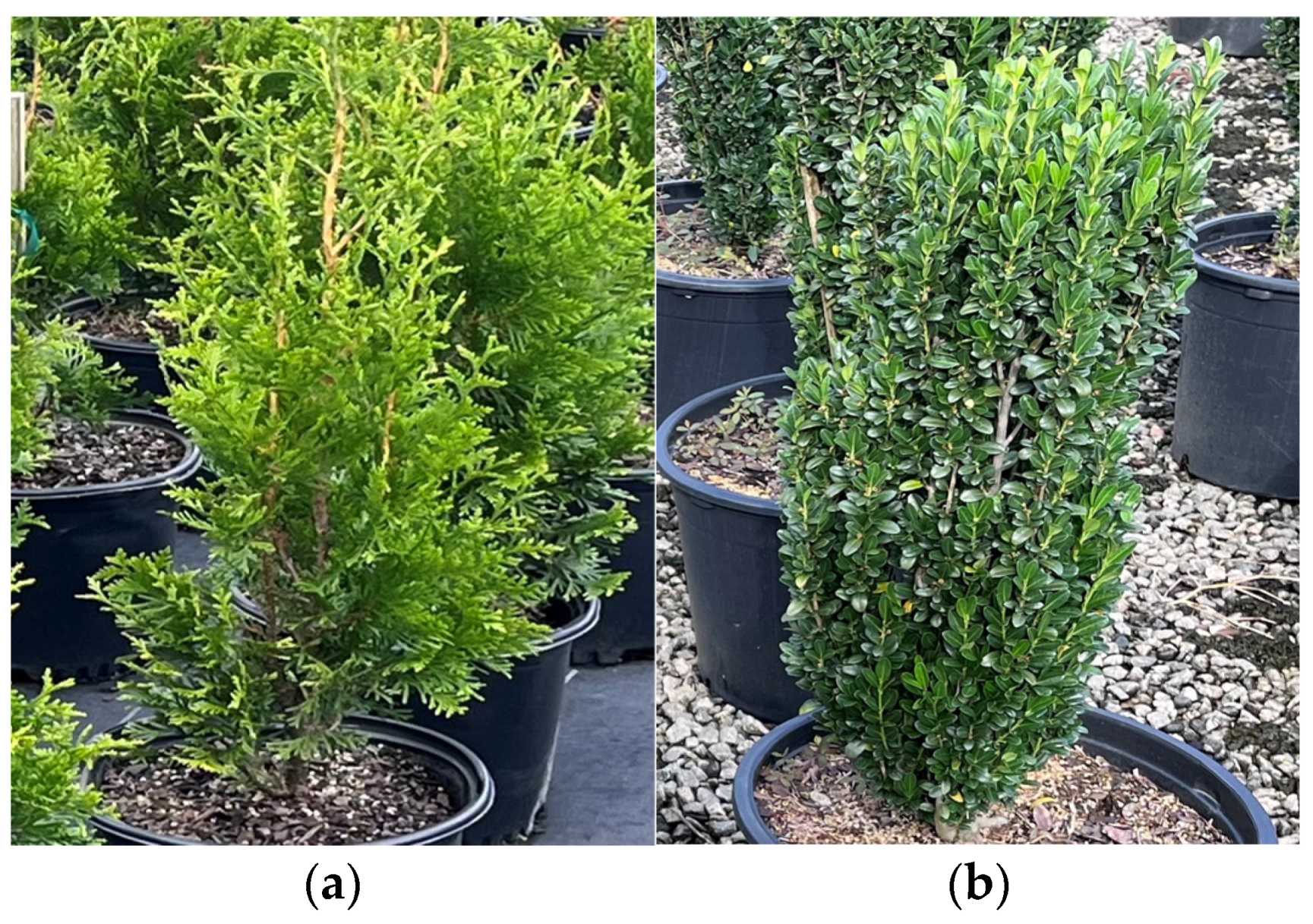 Agriengineering 06 00076 g005