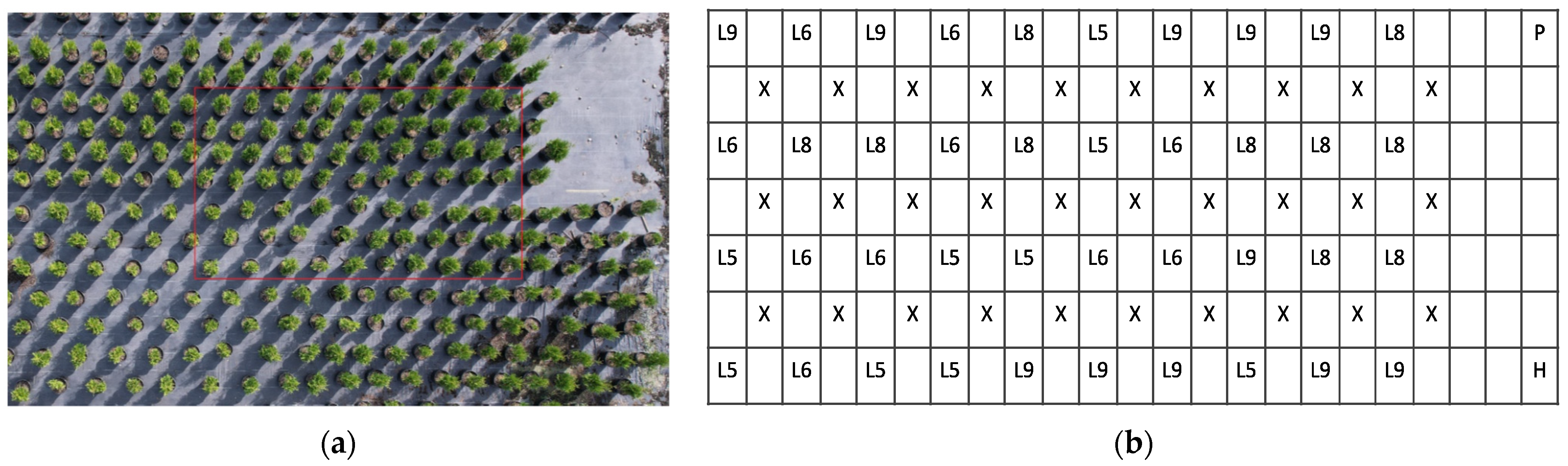 Agriengineering 06 00076 g006