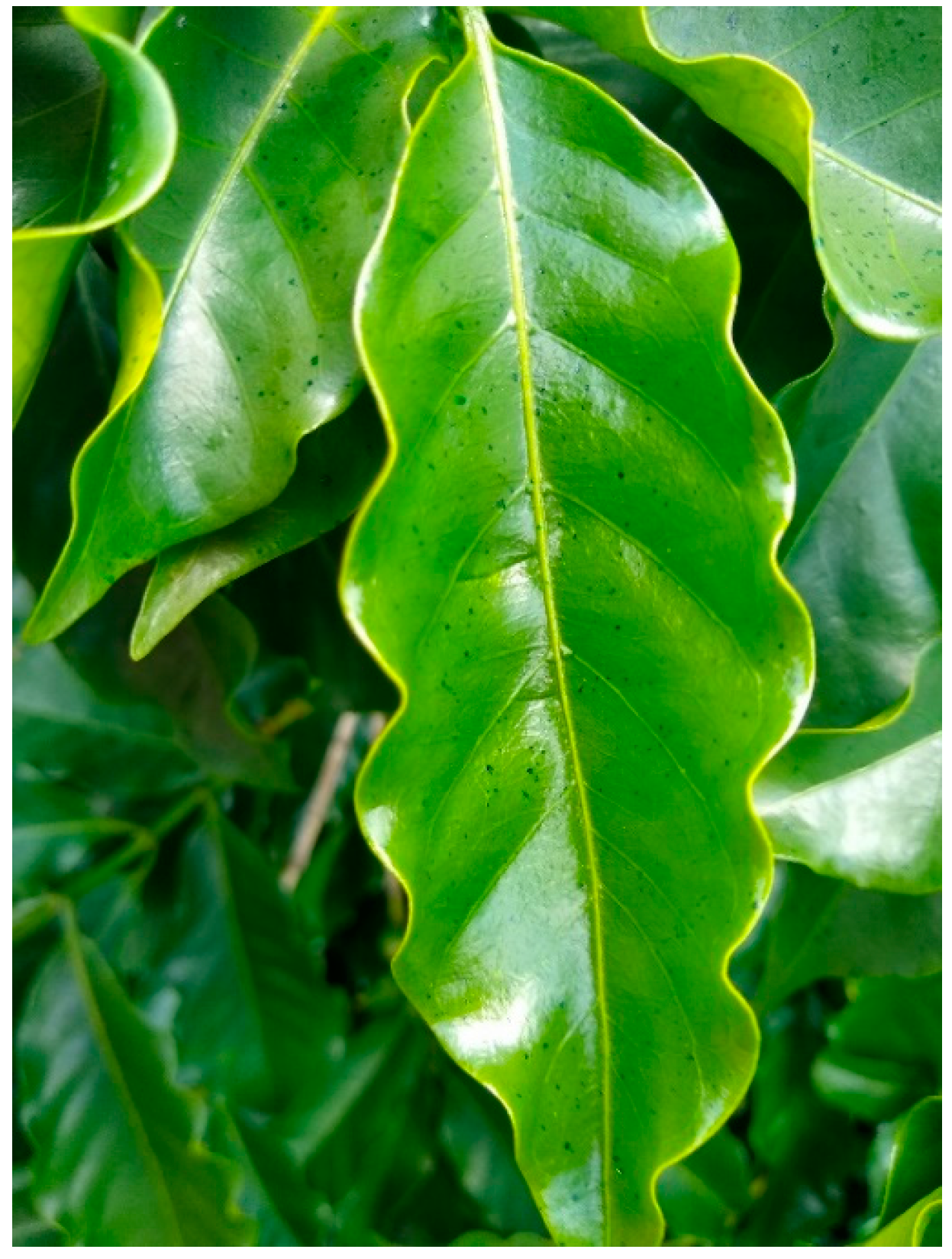 Agriengineering 06 00093 g004