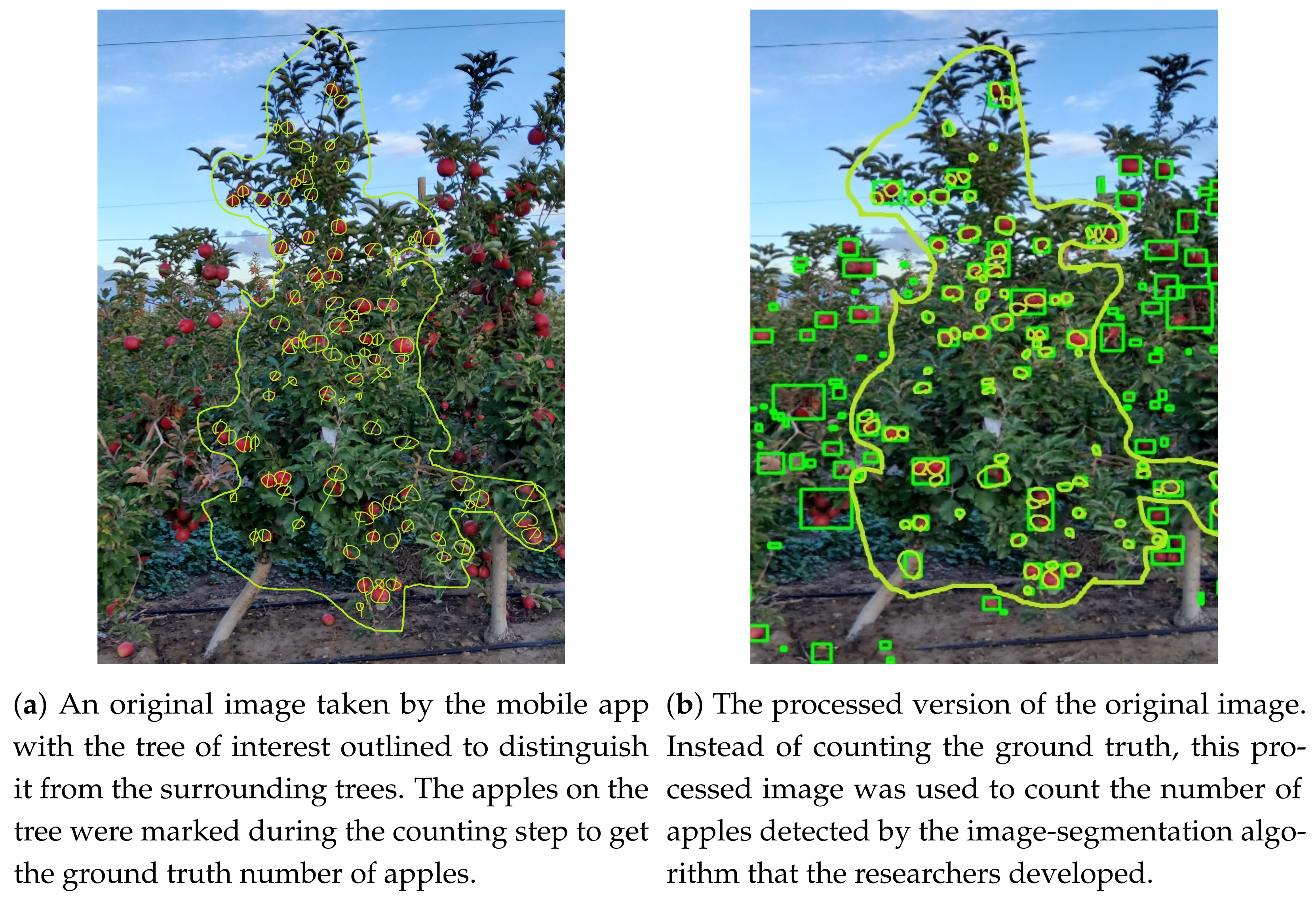 Agriengineering 06 00105 g003
